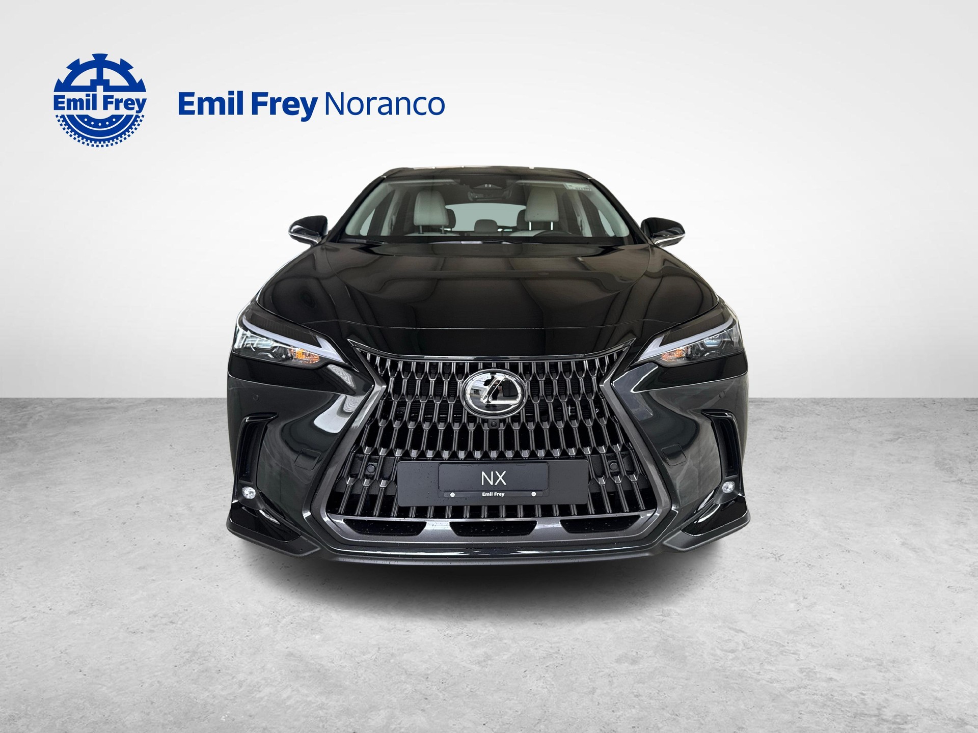 LEXUS NX 450h+ Comfort-image-7