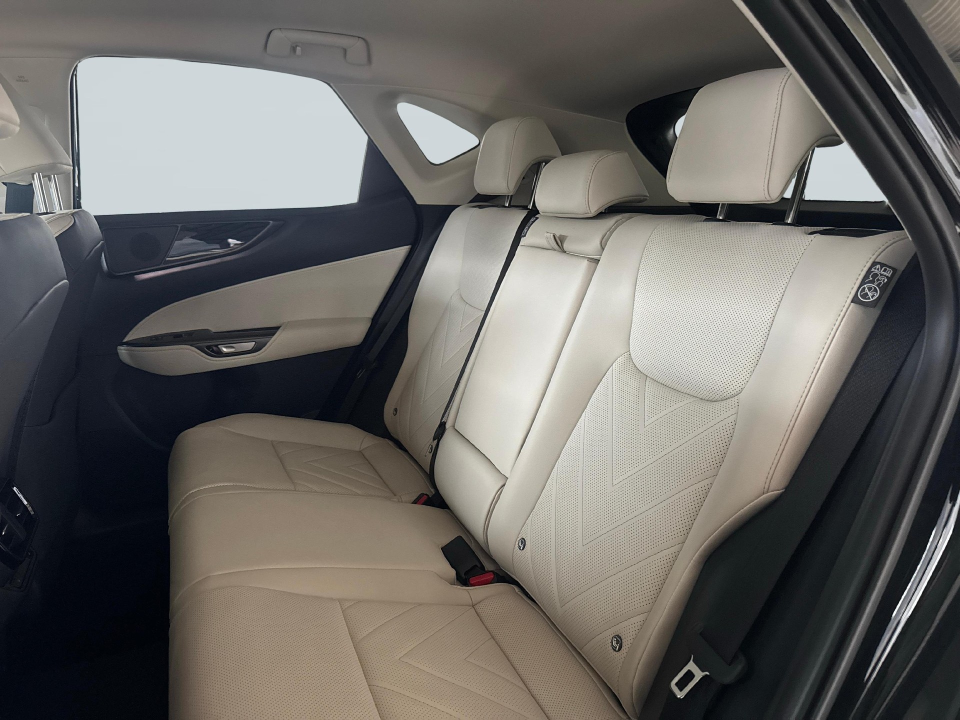 LEXUS NX 450h+ Comfort-image-11