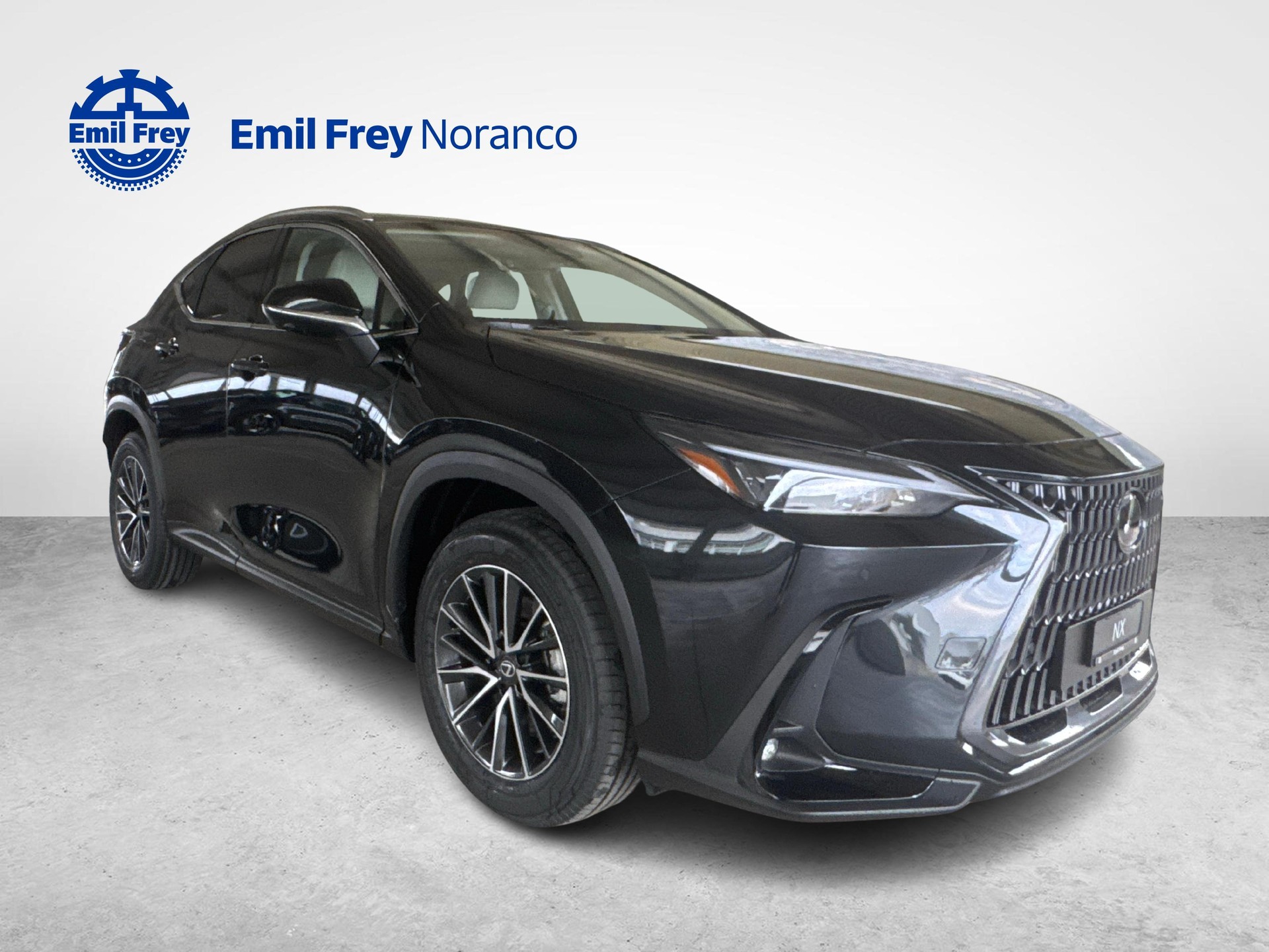 LEXUS NX 450h+ Comfort-image-6
