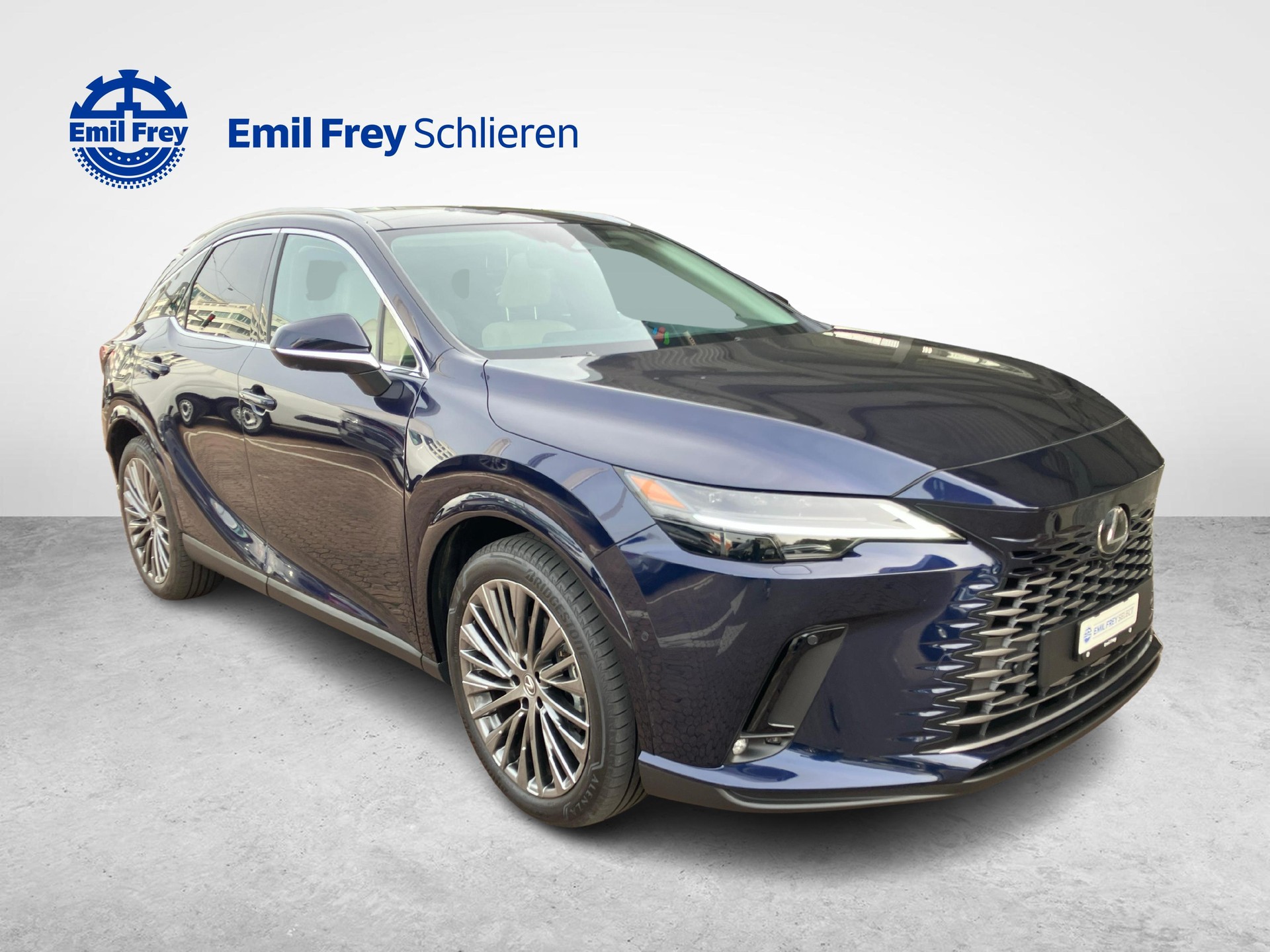 LEXUS RX 450h+ Excellence-image-6
