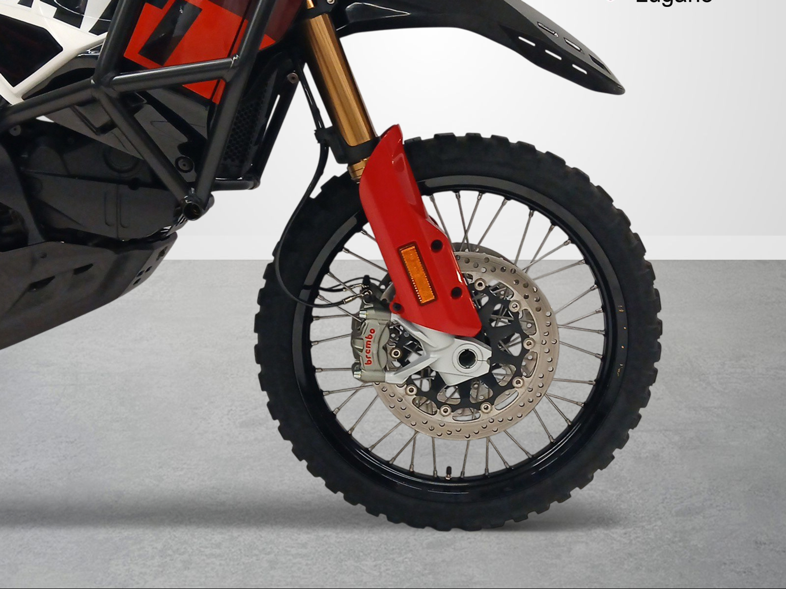 DUCATI Desert X Rally-image-10
