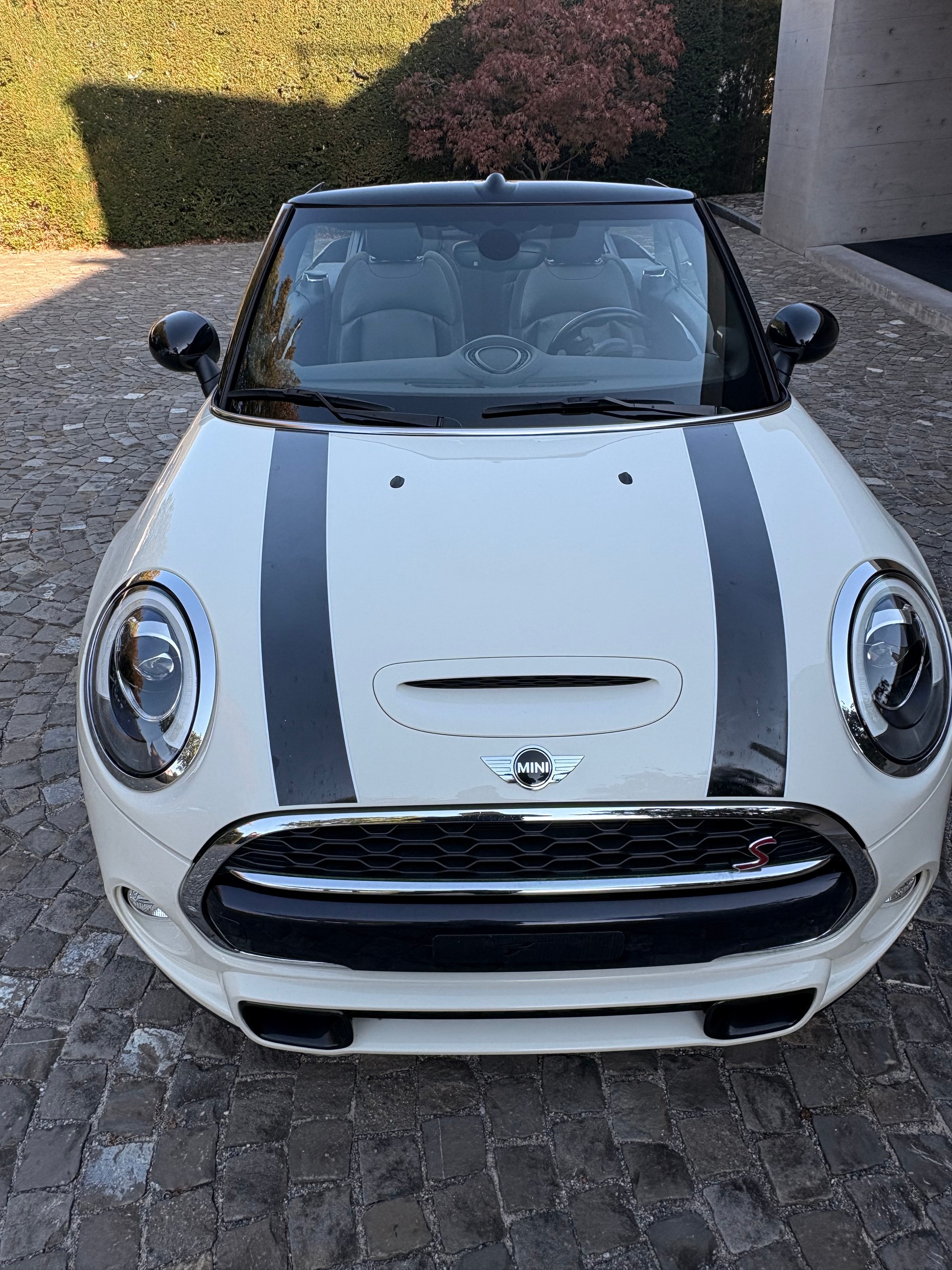 MINI 2.0i Cooper S Cabrio-image-1