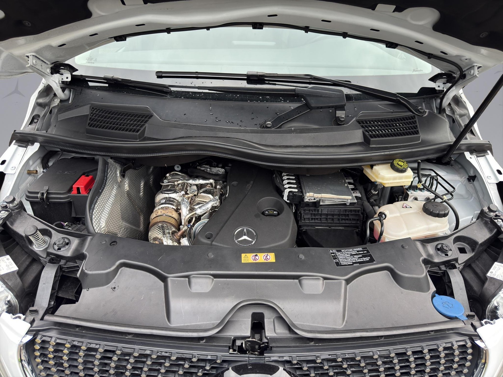 MERCEDES-BENZ Marco Polo 250 d Horizon 4matic-image-18