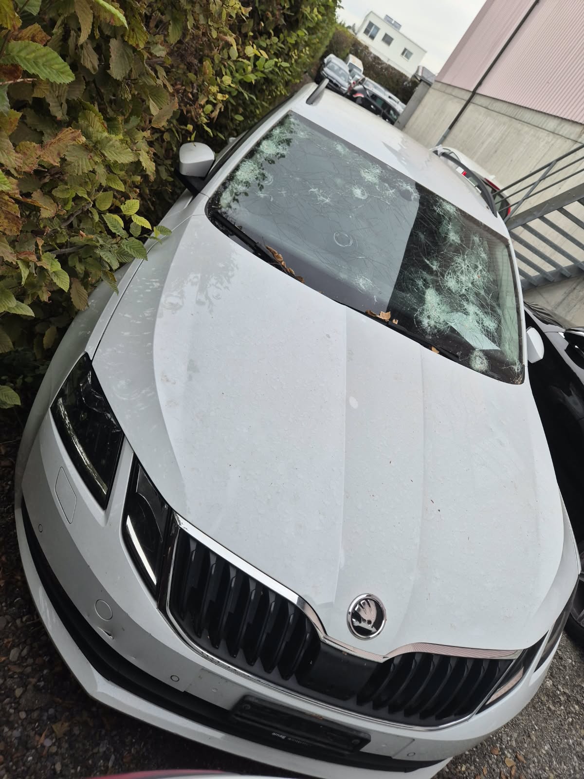 SKODA Octavia Combi 2.0 TDI Style 4x4-image-2