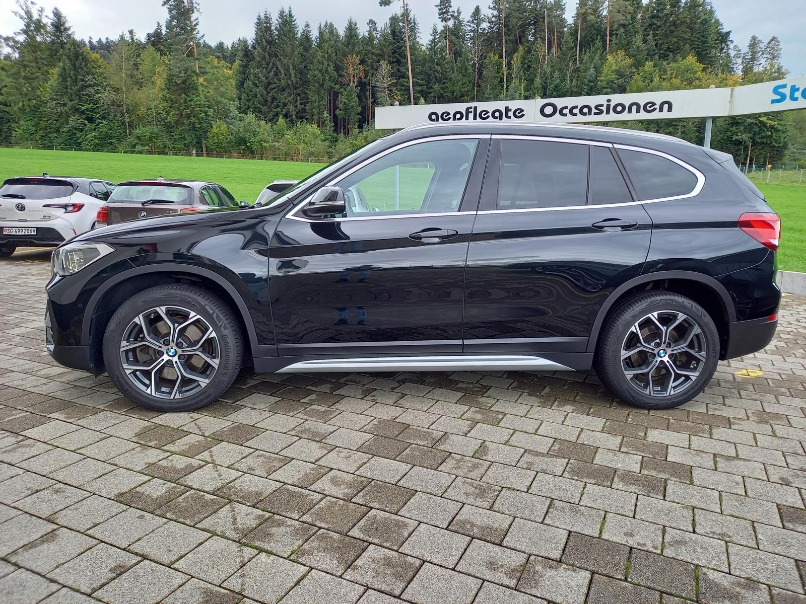 BMW X1 xDrive 25d xLine Steptronic-showroom-element-2