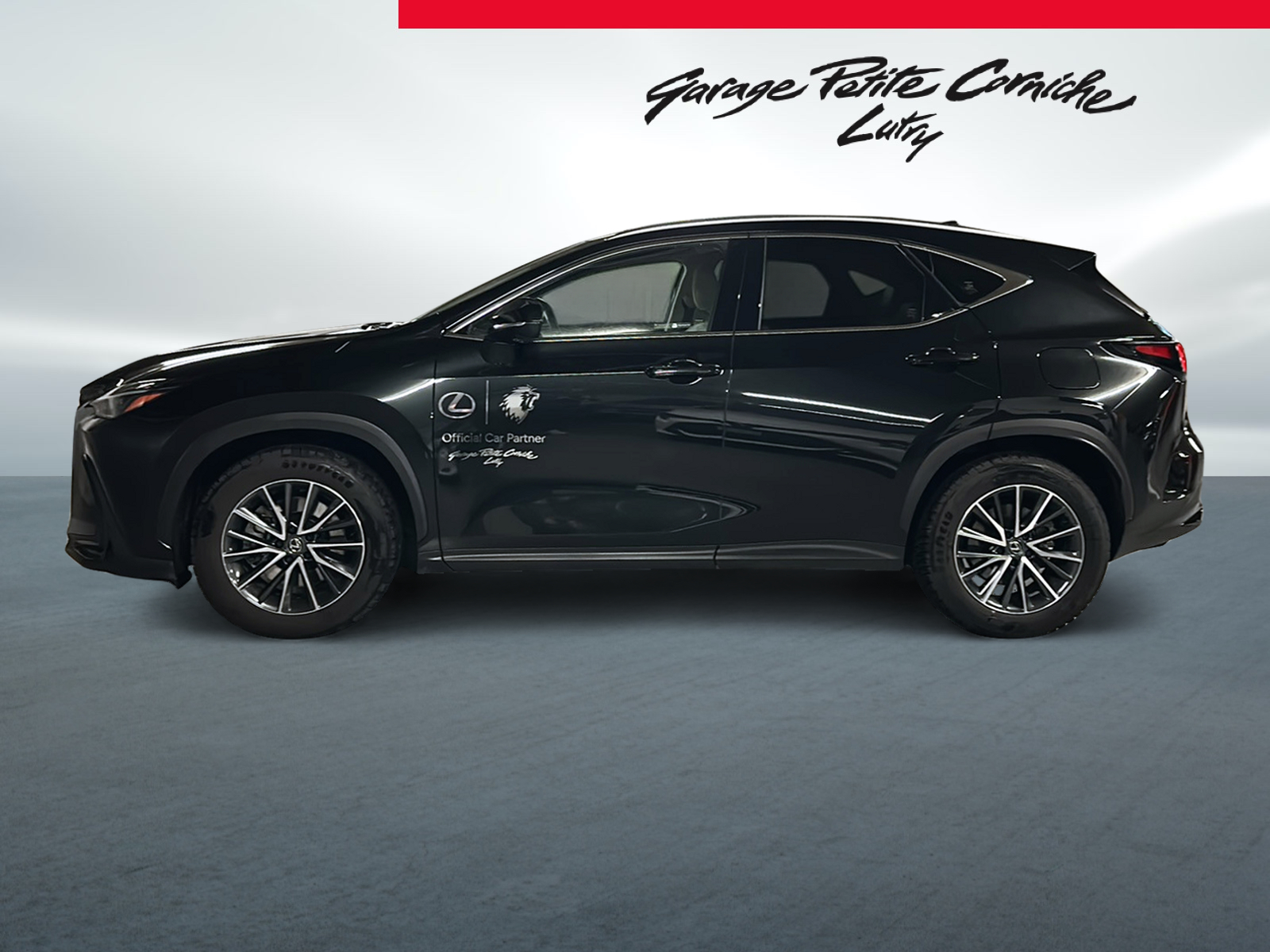 LEXUS 450h + Confort-image-1