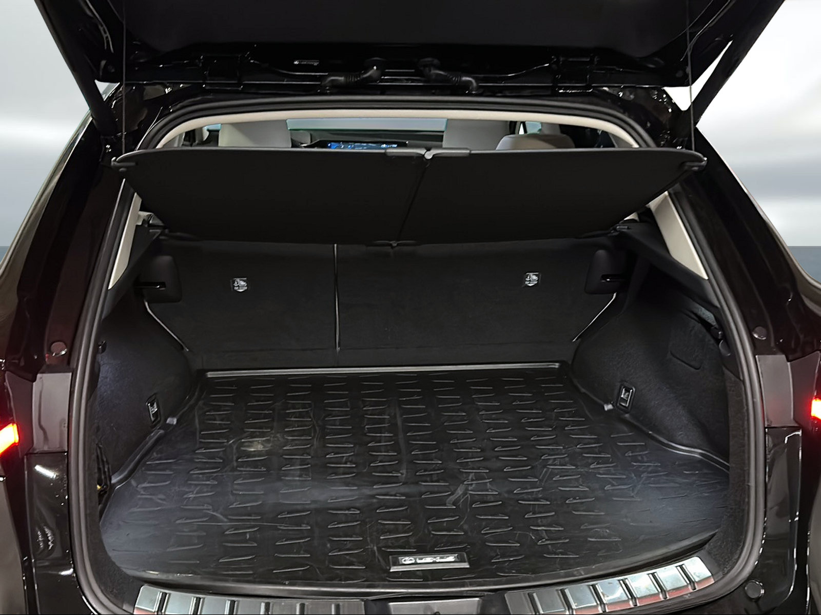 LEXUS 450h + Confort-image-10