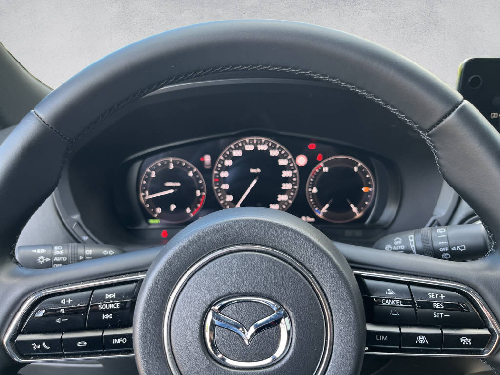 MAZDA CX-60 3.3 D AWD Homura Plus-image-10