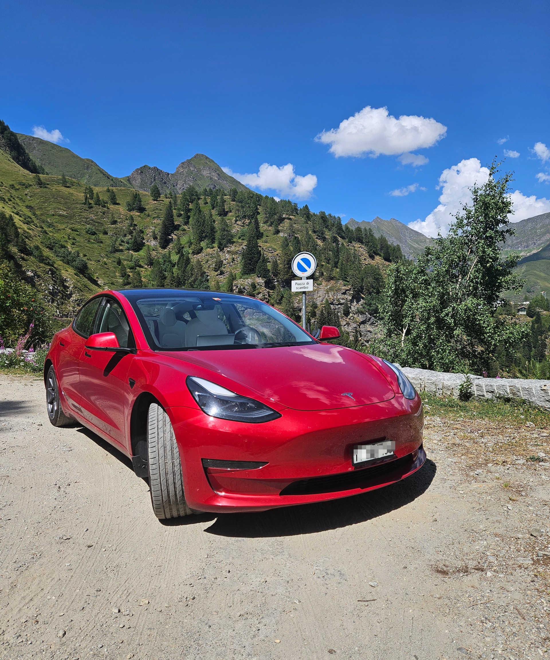 TESLA Long Range D-image-0