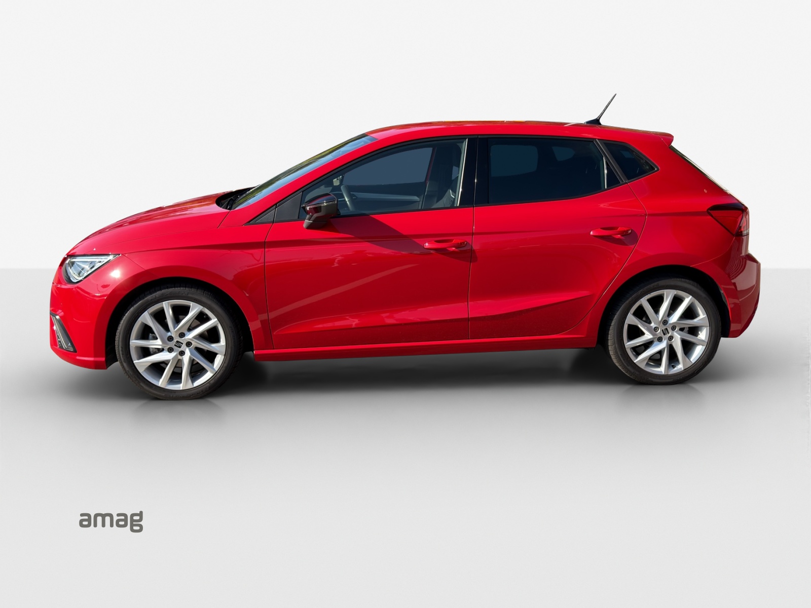 SEAT Ibiza 1.0 EcoTSI Hola FR DSG-image-1