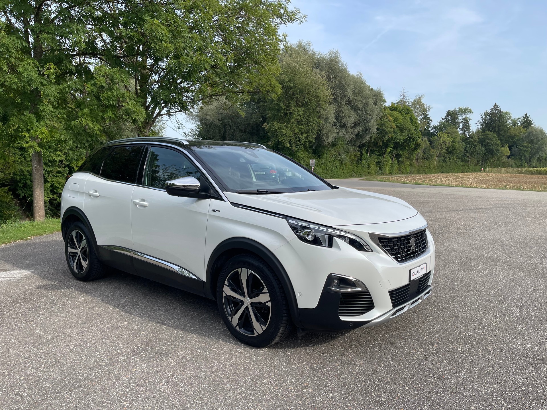 PEUGEOT 3008 2.0 BlueHDi GT EAT-image-6