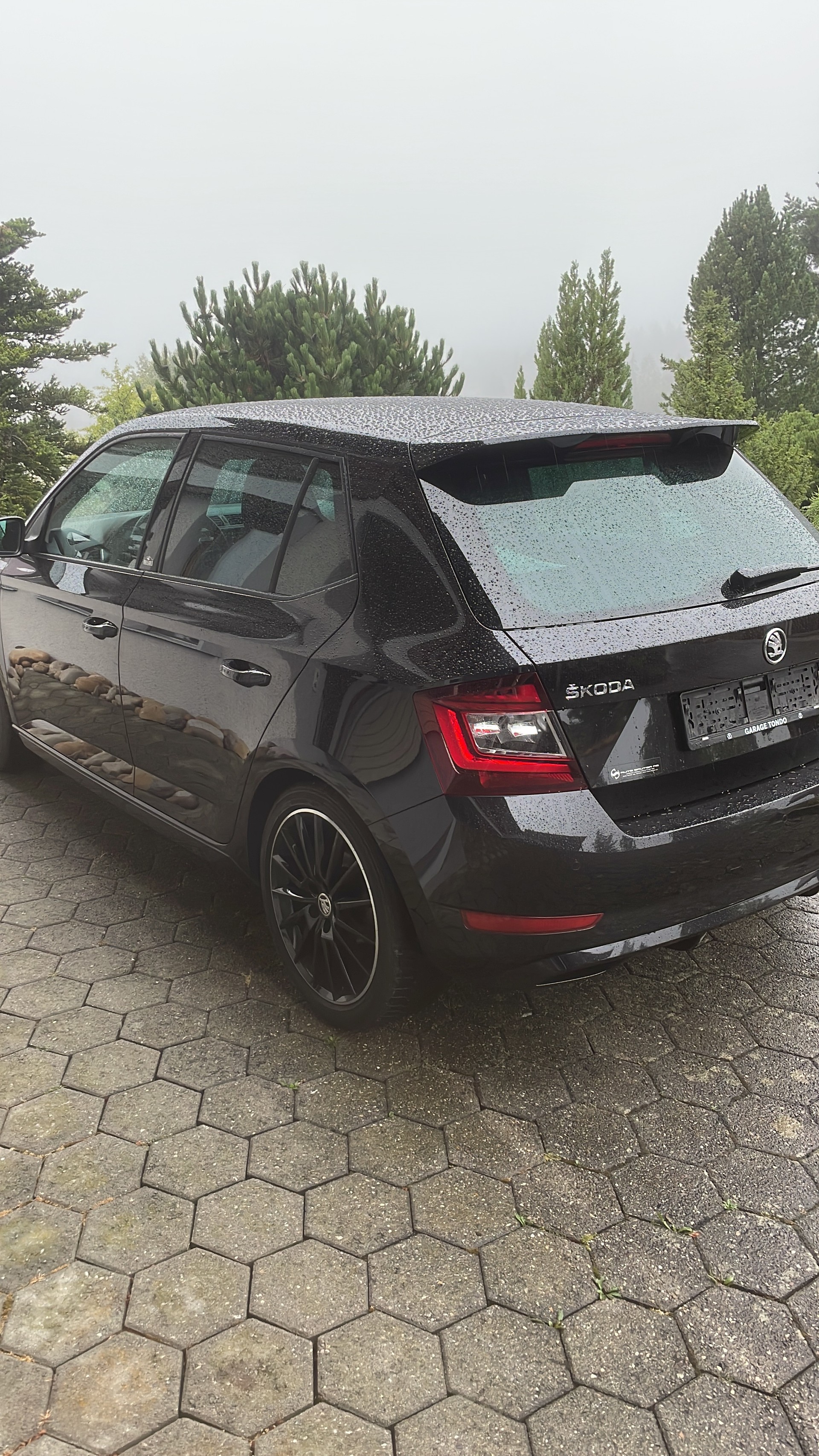 SKODA Fabia 1.0 TSI Monte Carlo-image-0