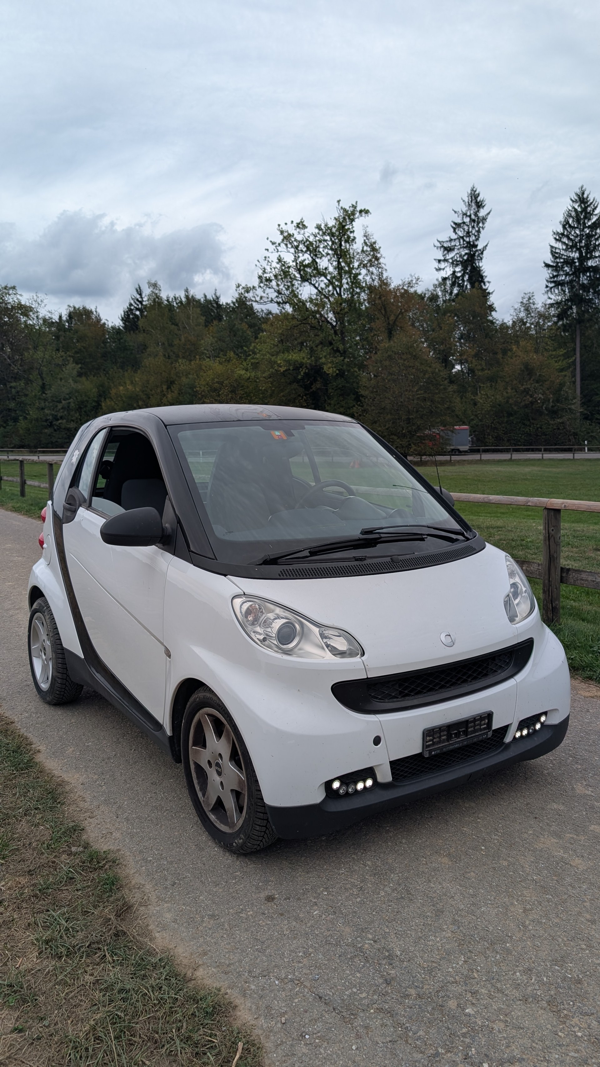 SMART fortwo pulse mhd softouch-image-0