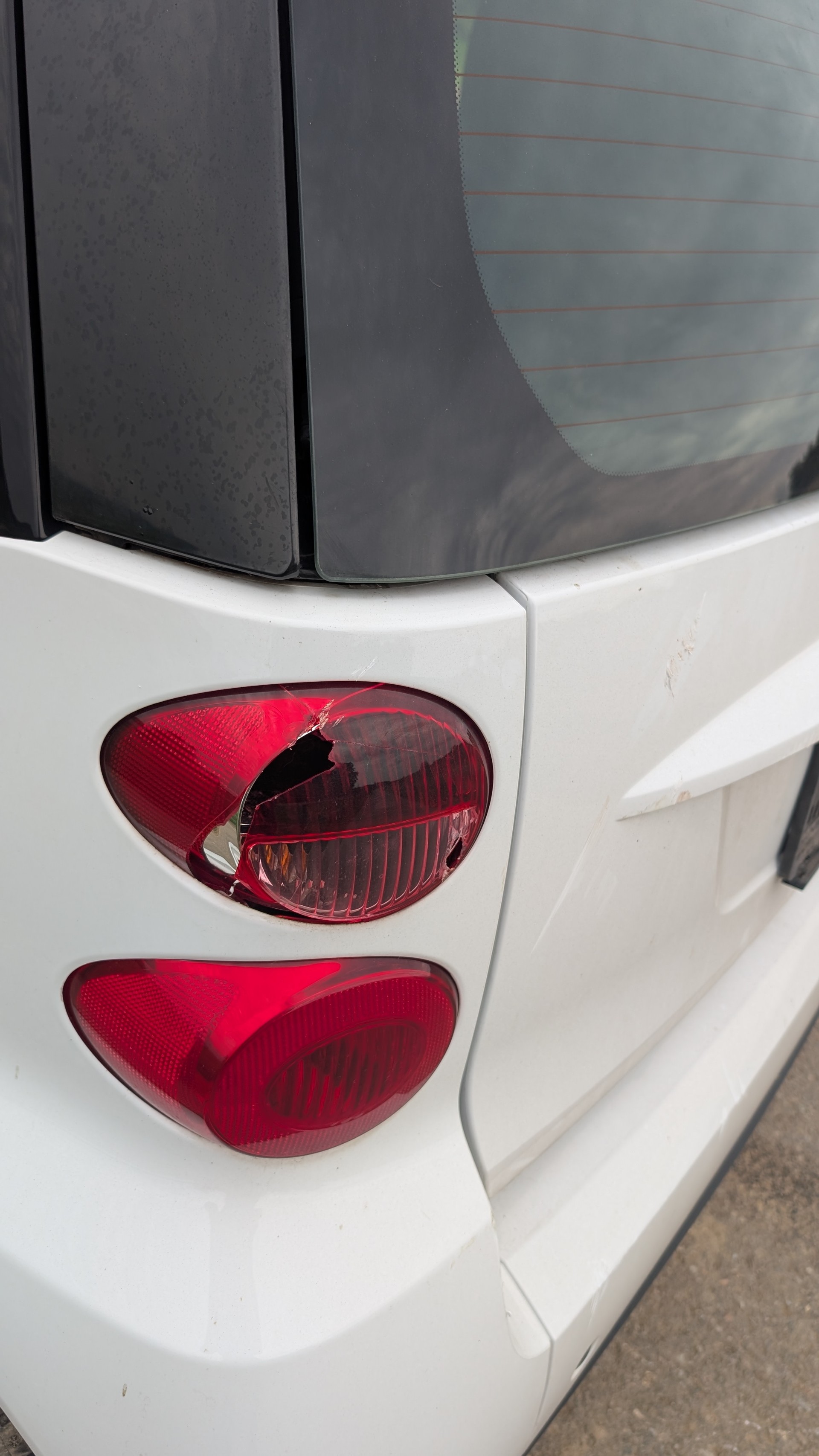 SMART fortwo pulse mhd softouch-image-4