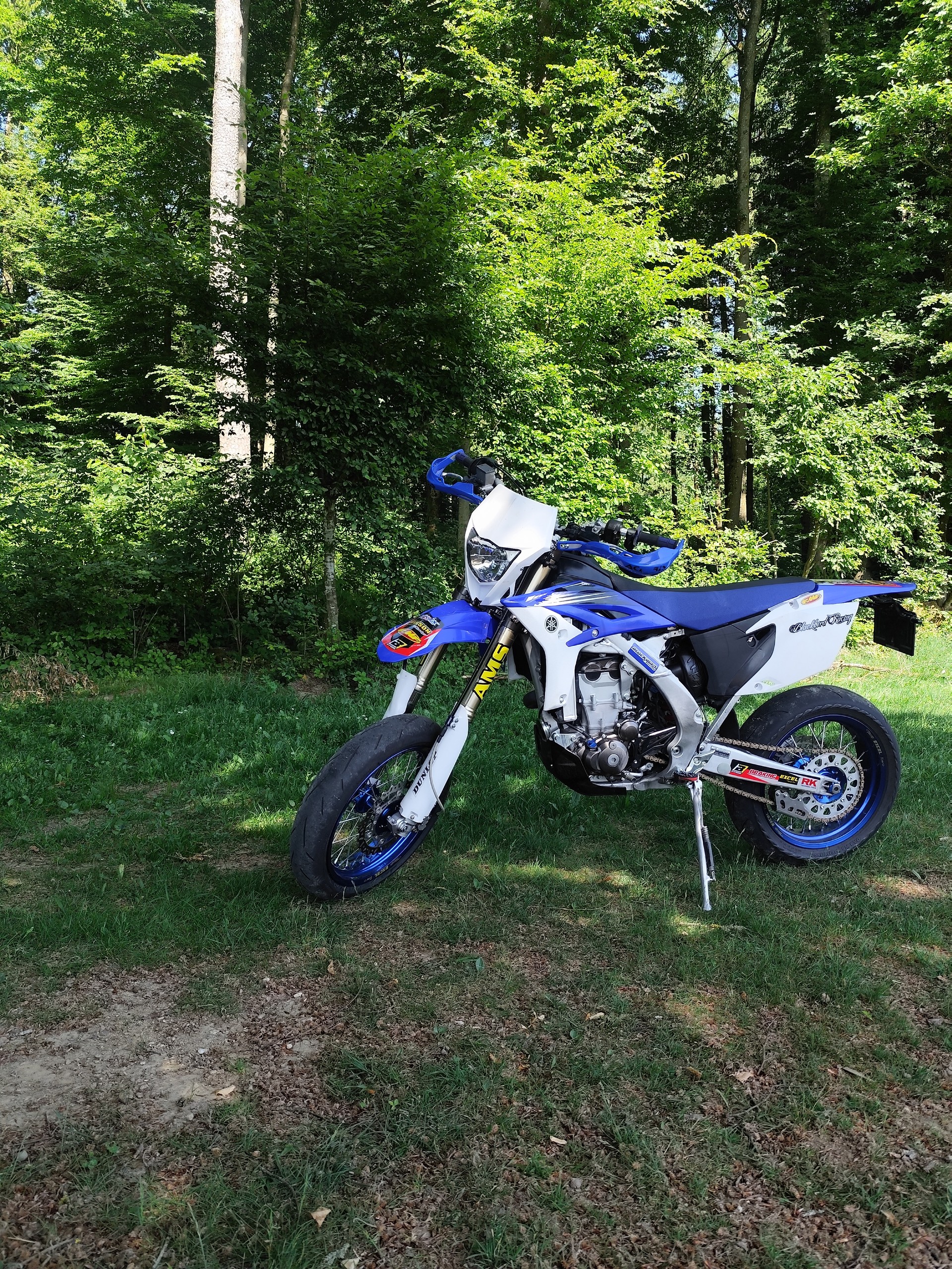 YAMAHA WR 450 F-image-4