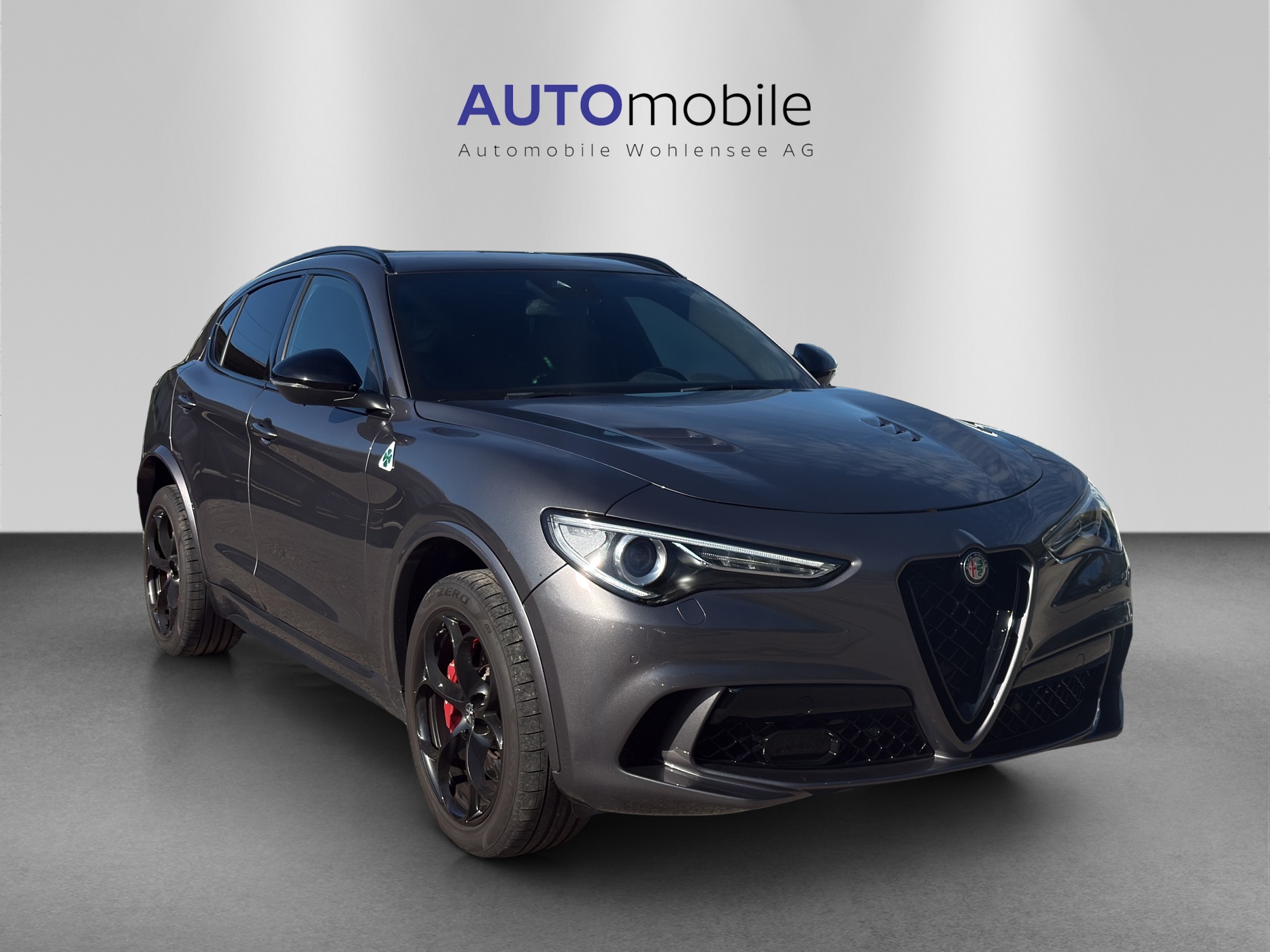 ALFA ROMEO Stelvio 2.9 V6 Quadrifoglio Q4 Automatic-image-3