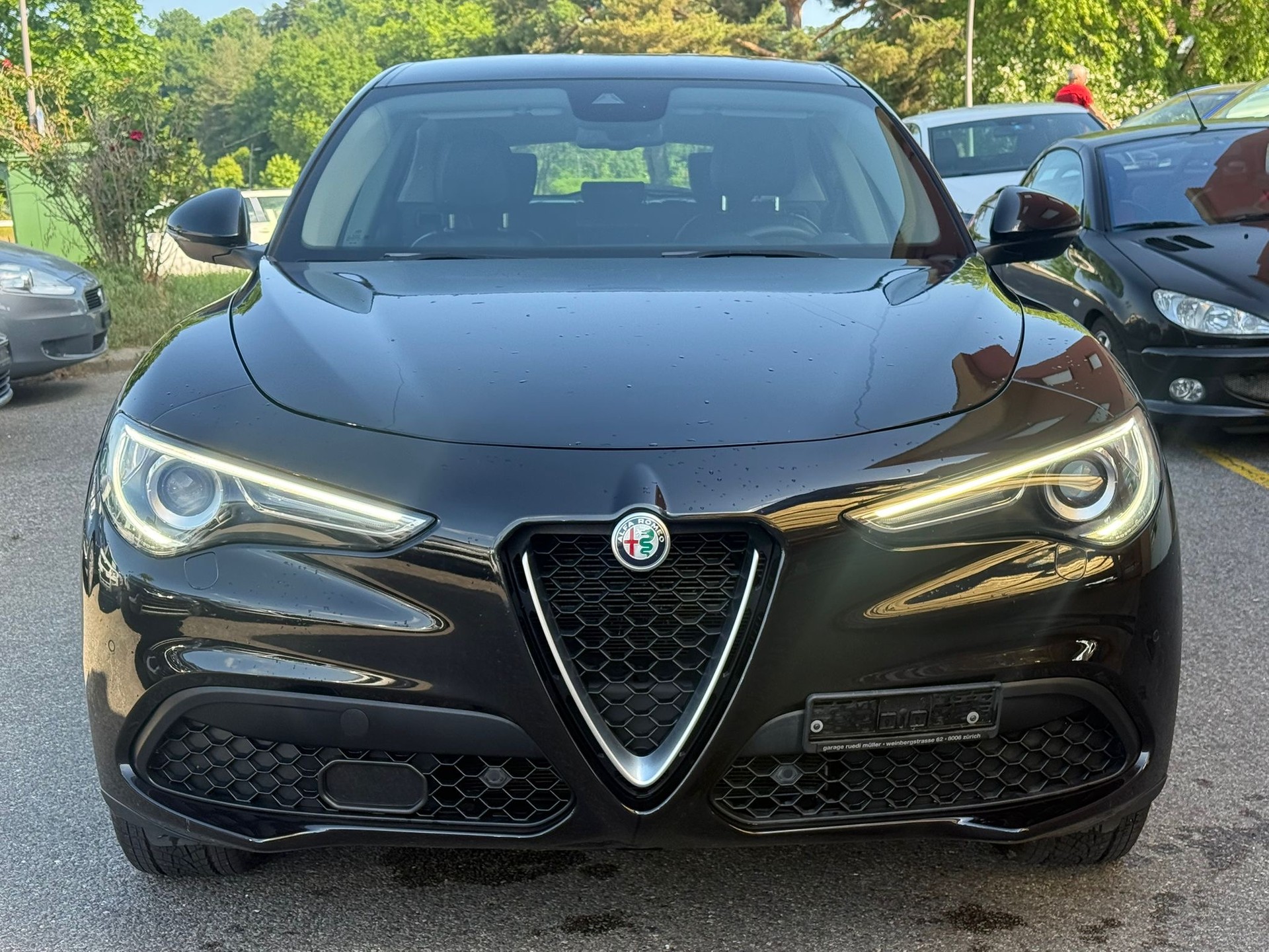 ALFA ROMEO Stelvio 2.2 JTDM Business Automatic Q4-image-0
