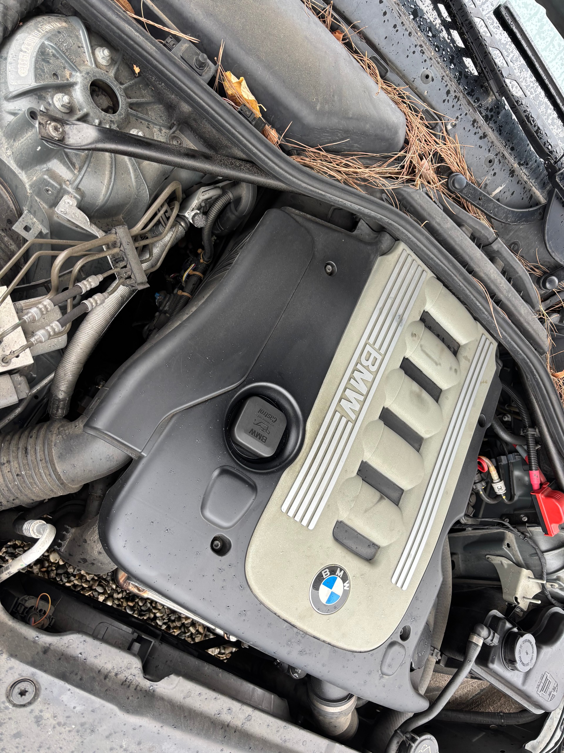 BMW 530xd Touring-image-15