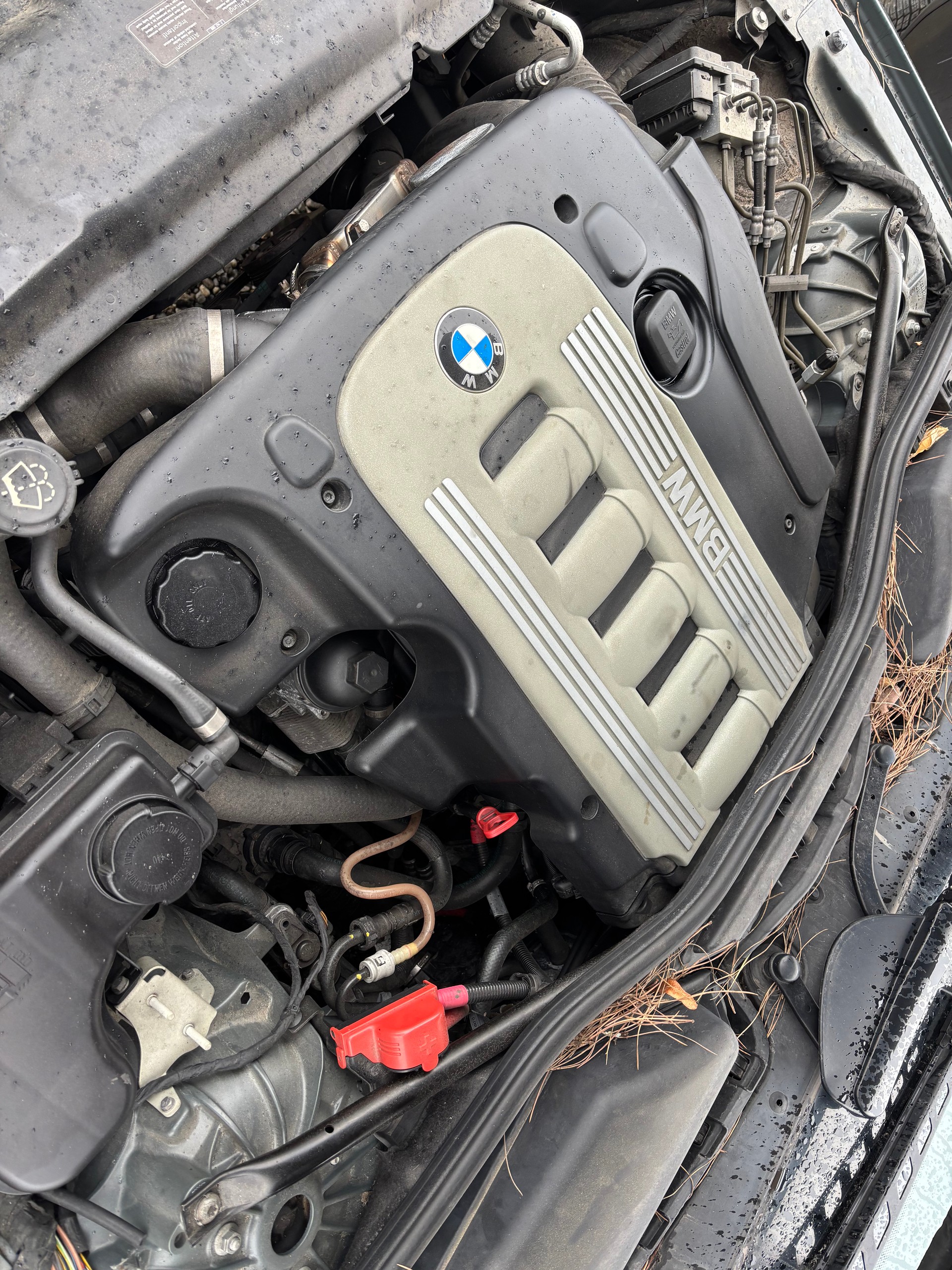BMW 530xd Touring-image-14