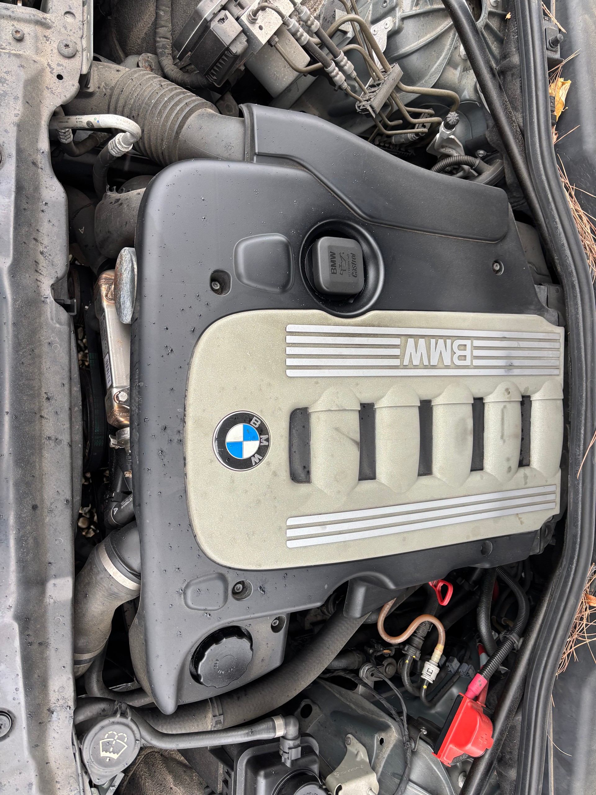 BMW 530xd Touring-image-13