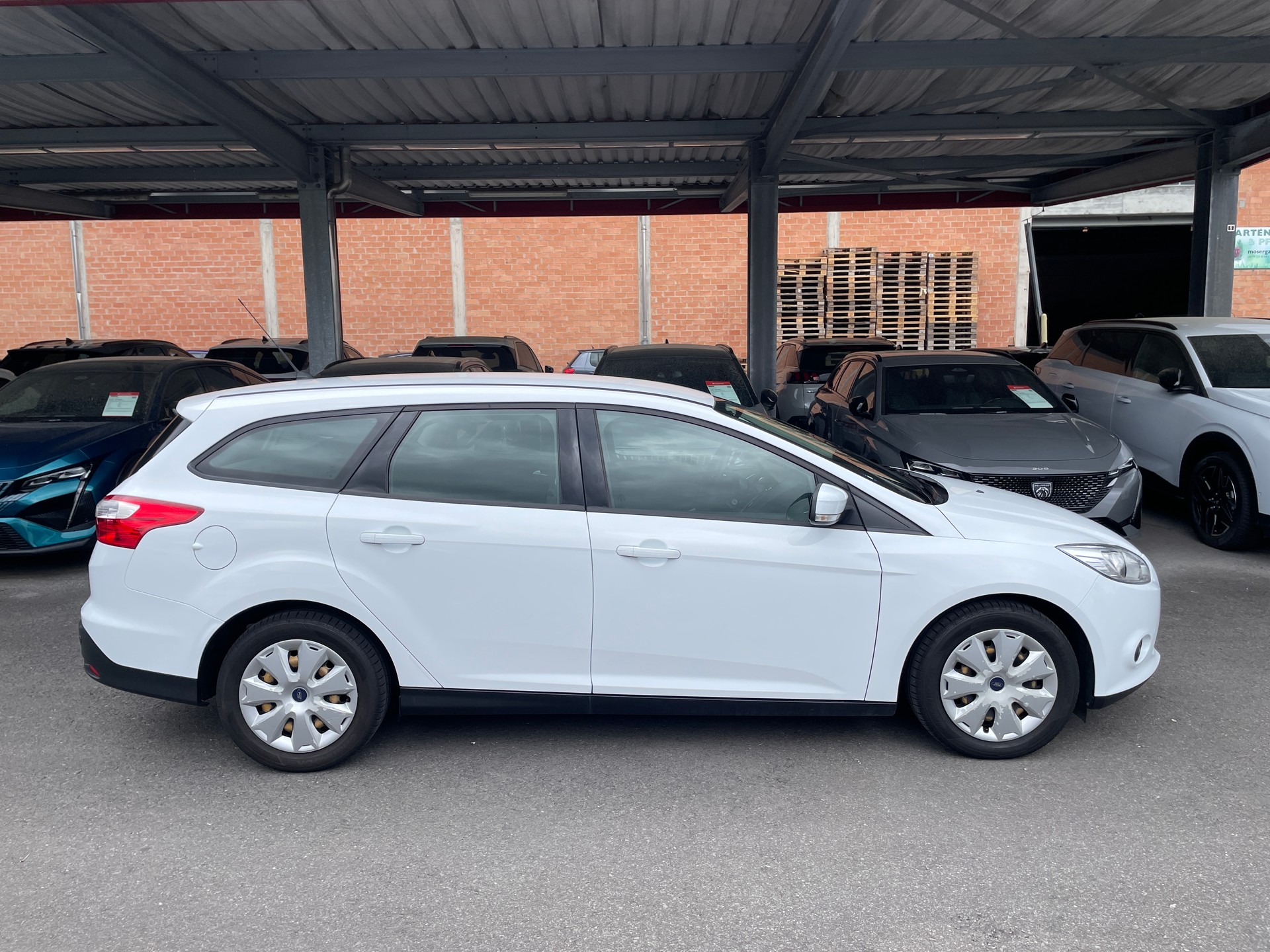 FORD Focus 1.6 TDCi Trend-image-1