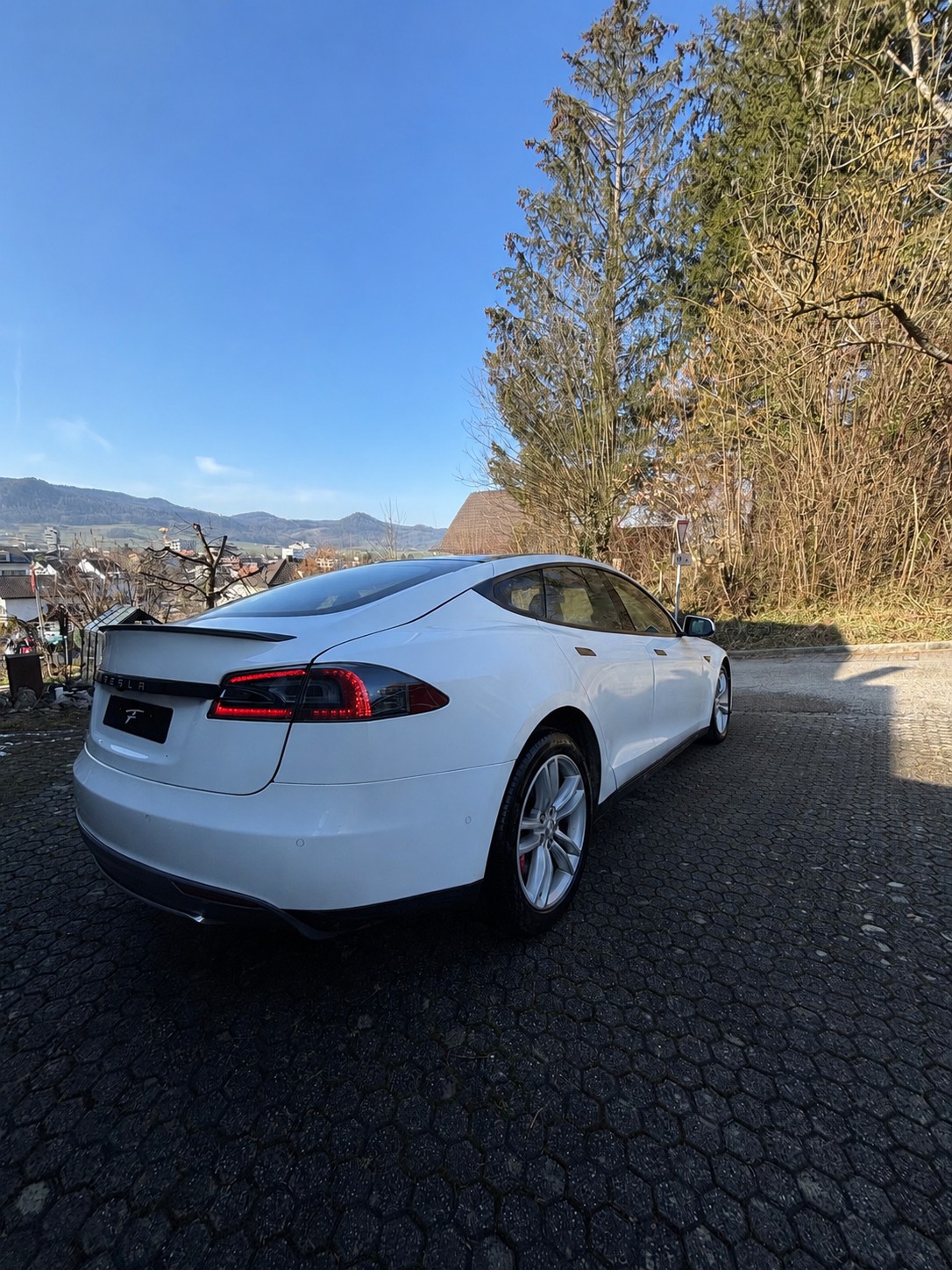 TESLA 85 Performance-image-4