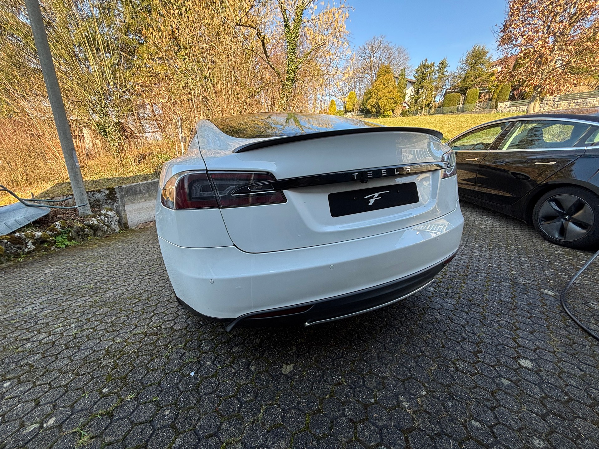 TESLA 85 Performance-image-5