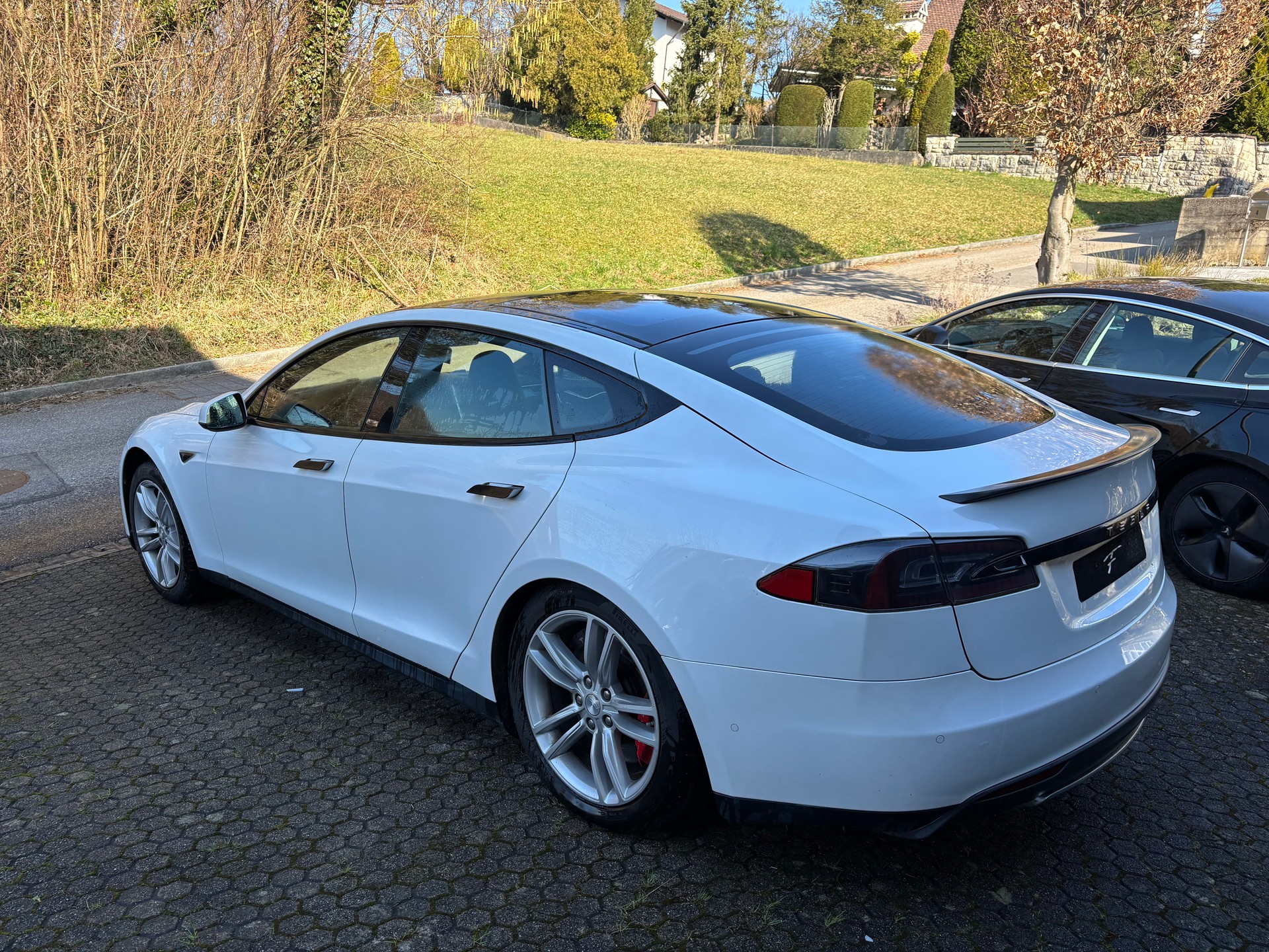 TESLA 85 Performance-image-2