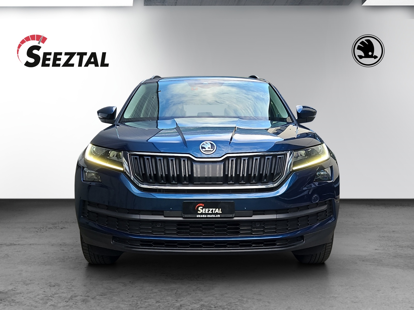 SKODA Skoda Kodiaq Ambition TDI 4x4-showroom-element-2