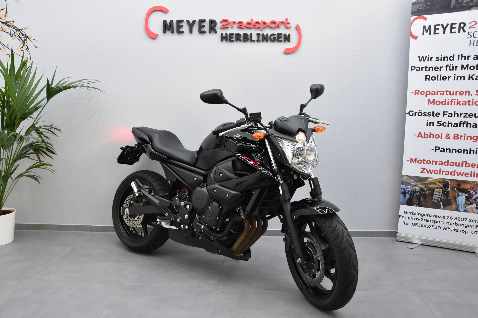 YAMAHA XJ 6 N ABS