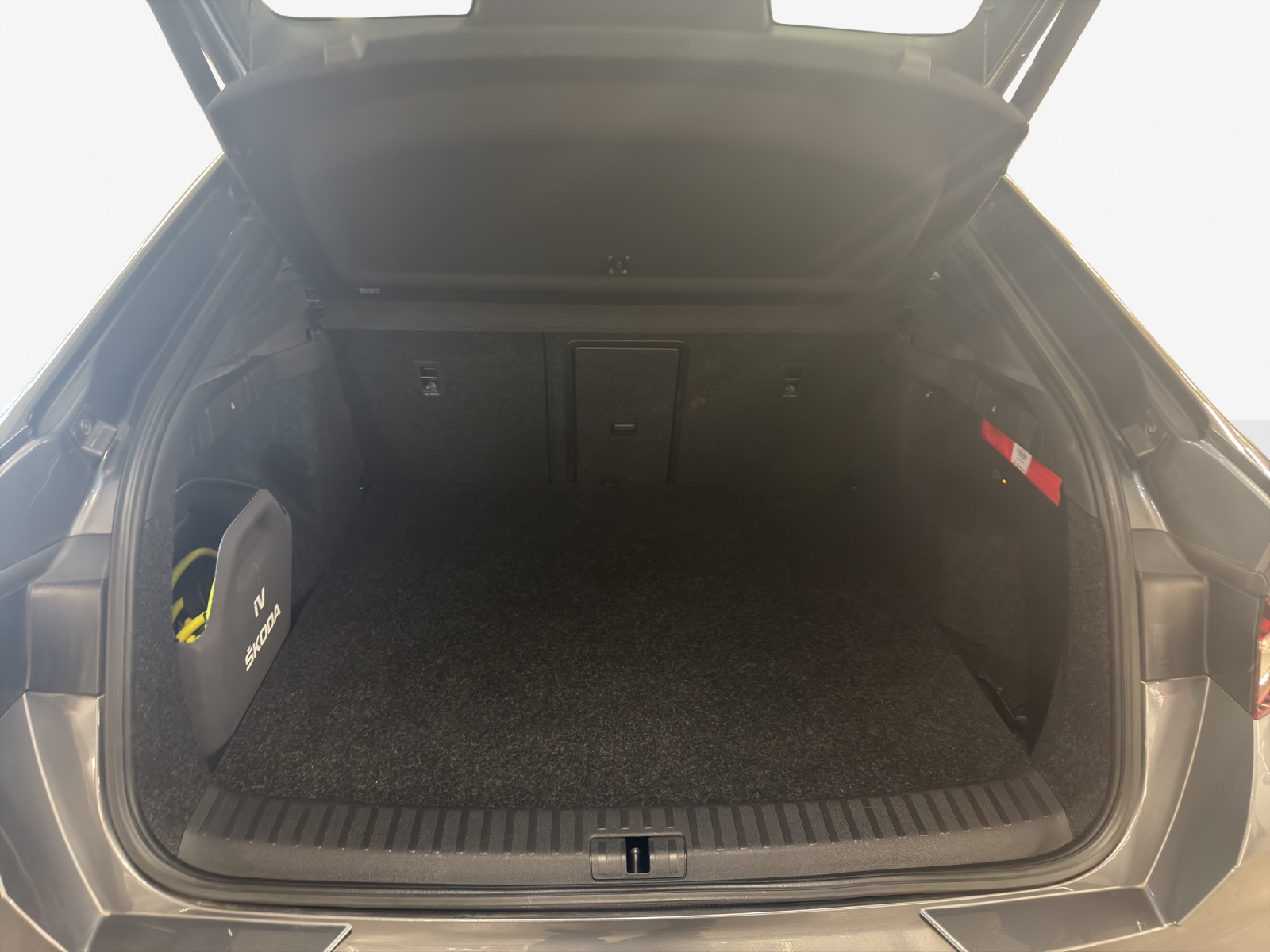 SKODA Enyaq Coupé RS iV 80 4x4-image-13