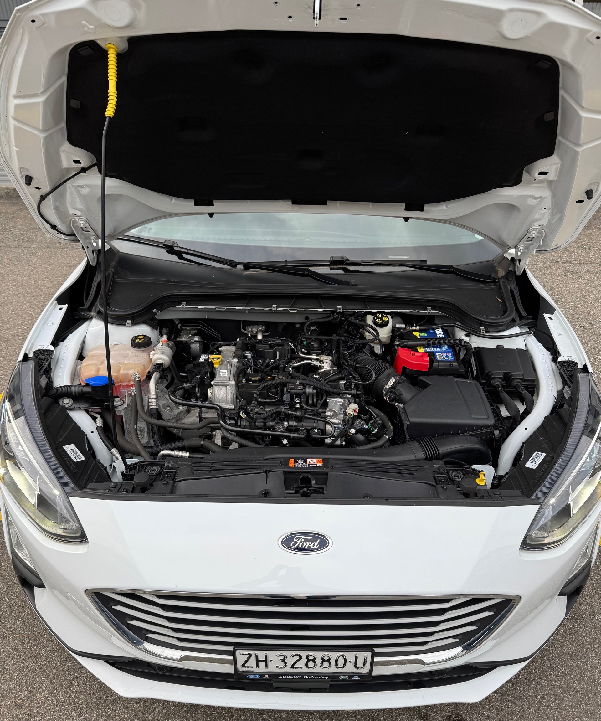 FORD Focus 1.0 SCTi Cool Connect Automatic-image-15