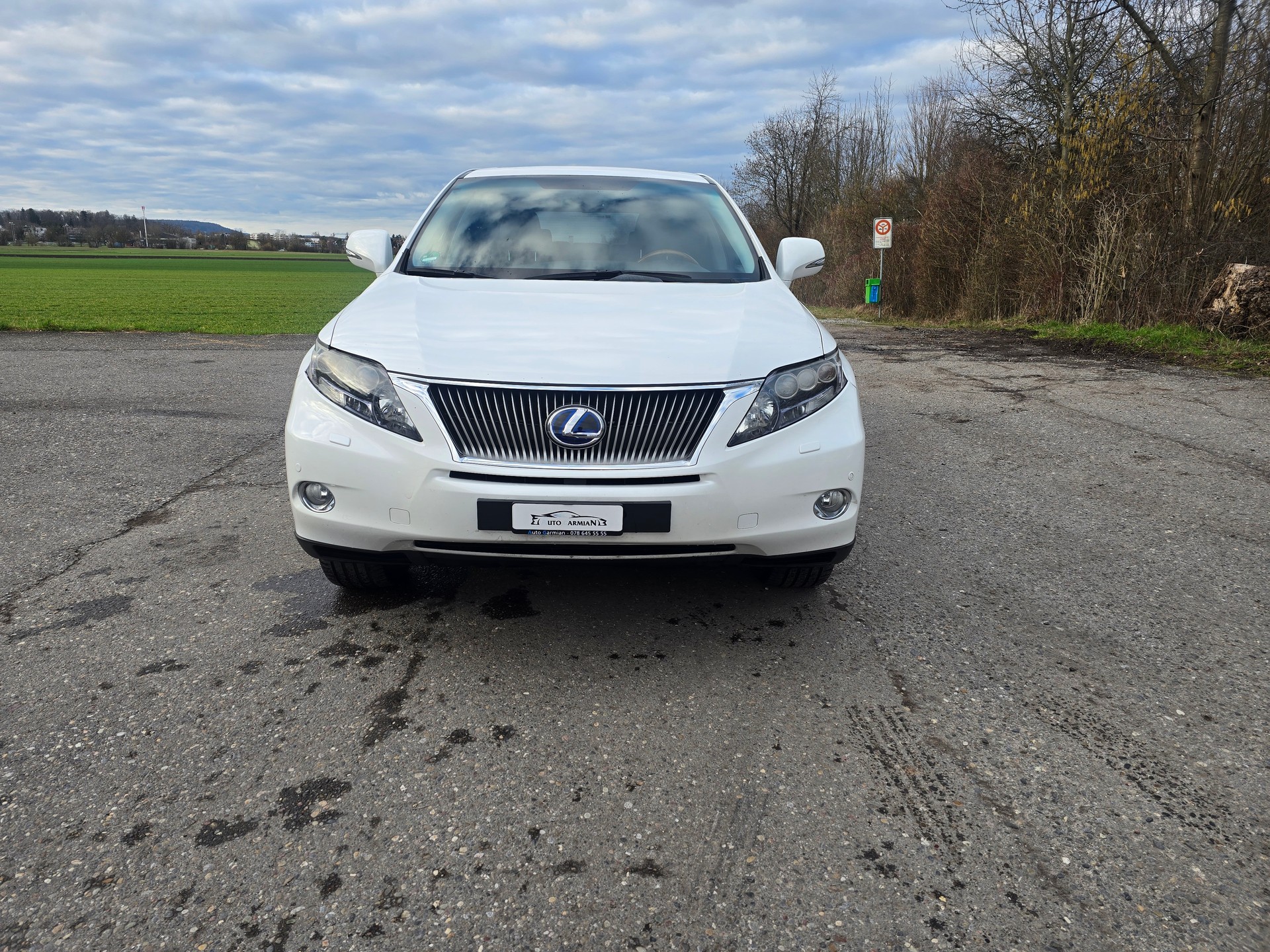 LEXUS RX 450h Limited AWD Automatic-image-0