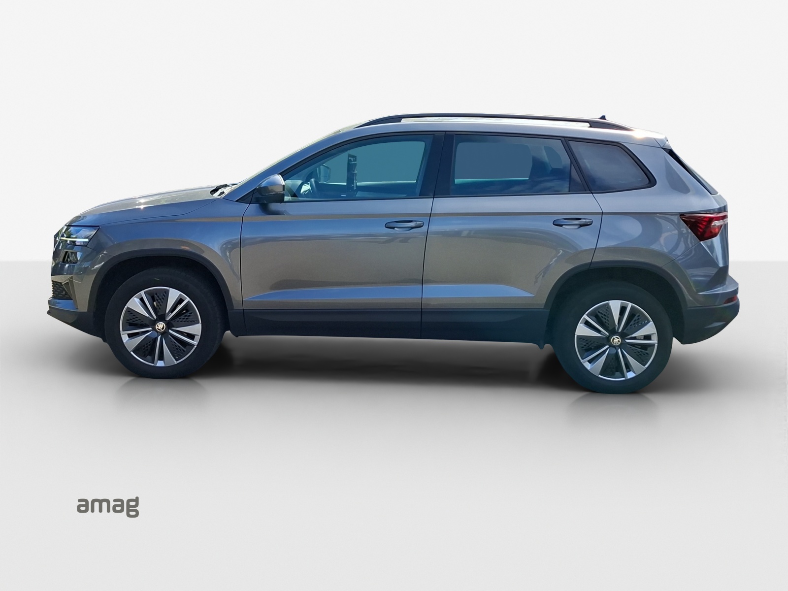 SKODA Karoq 1.0 TSI Ambition-image-1