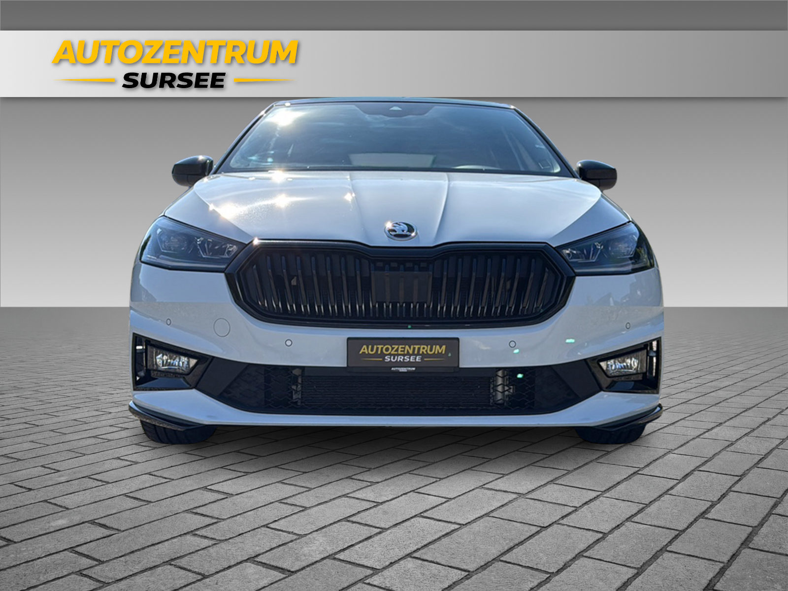 SKODA Fabia 1.5 TSI Monte Carlo DSG-image-11