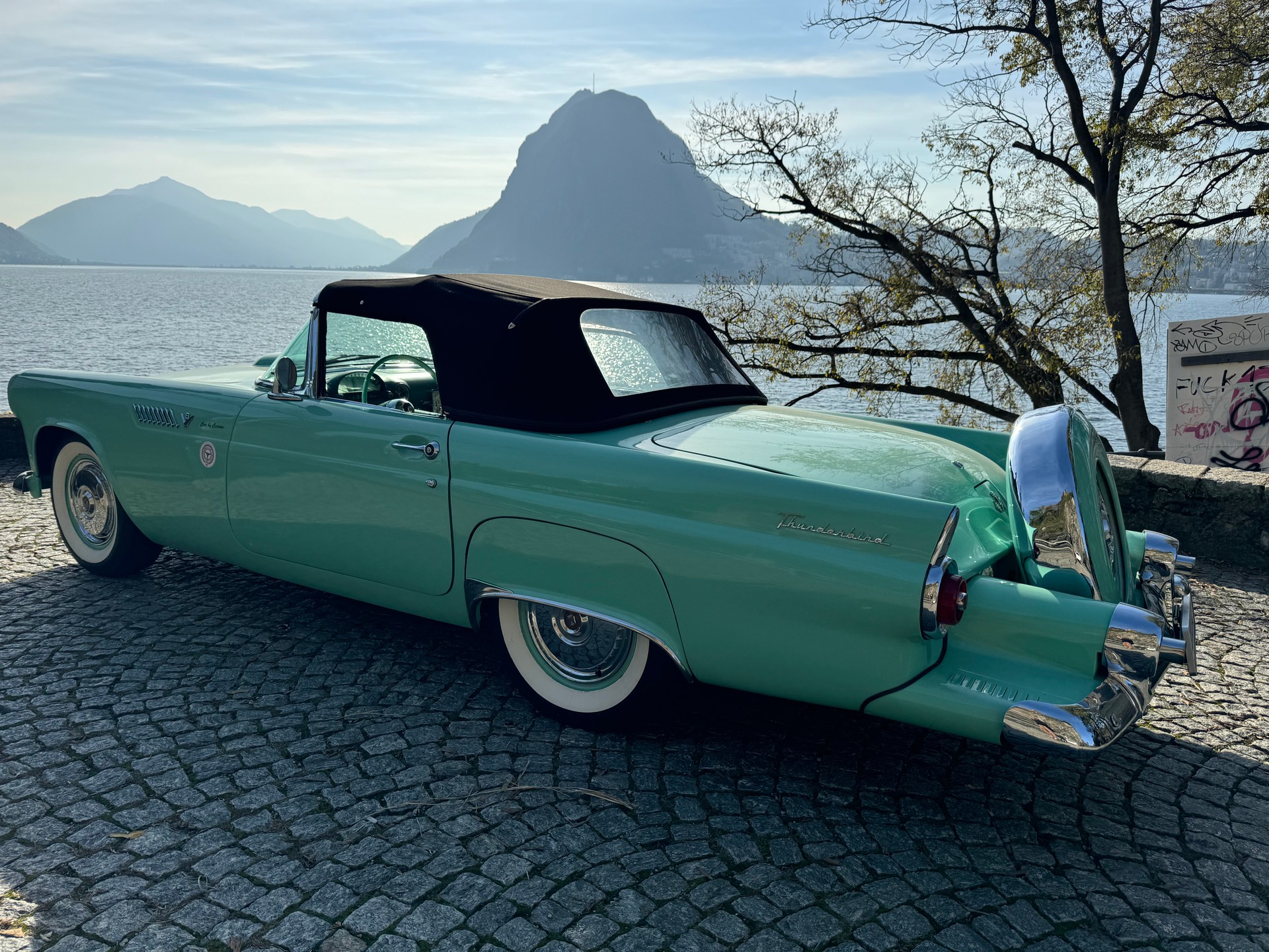 FORD Thunderbird 4.8-image-11