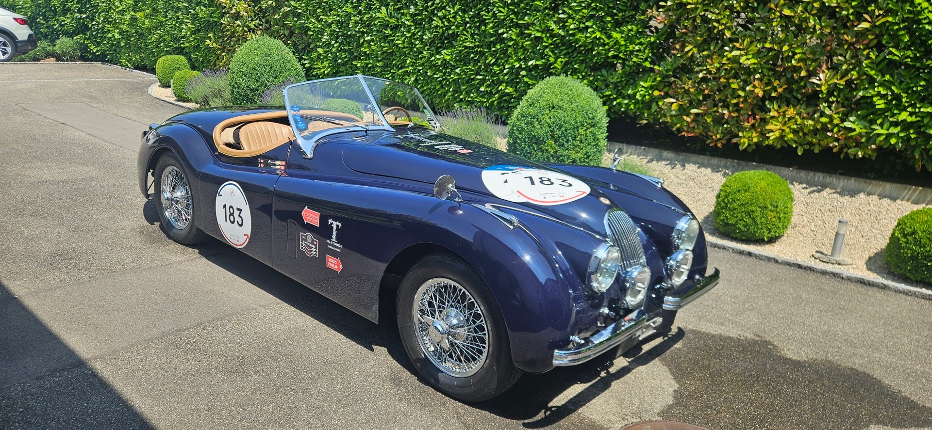 JAGUAR XK120 OTS ¦ 1000 Miglia Registro
