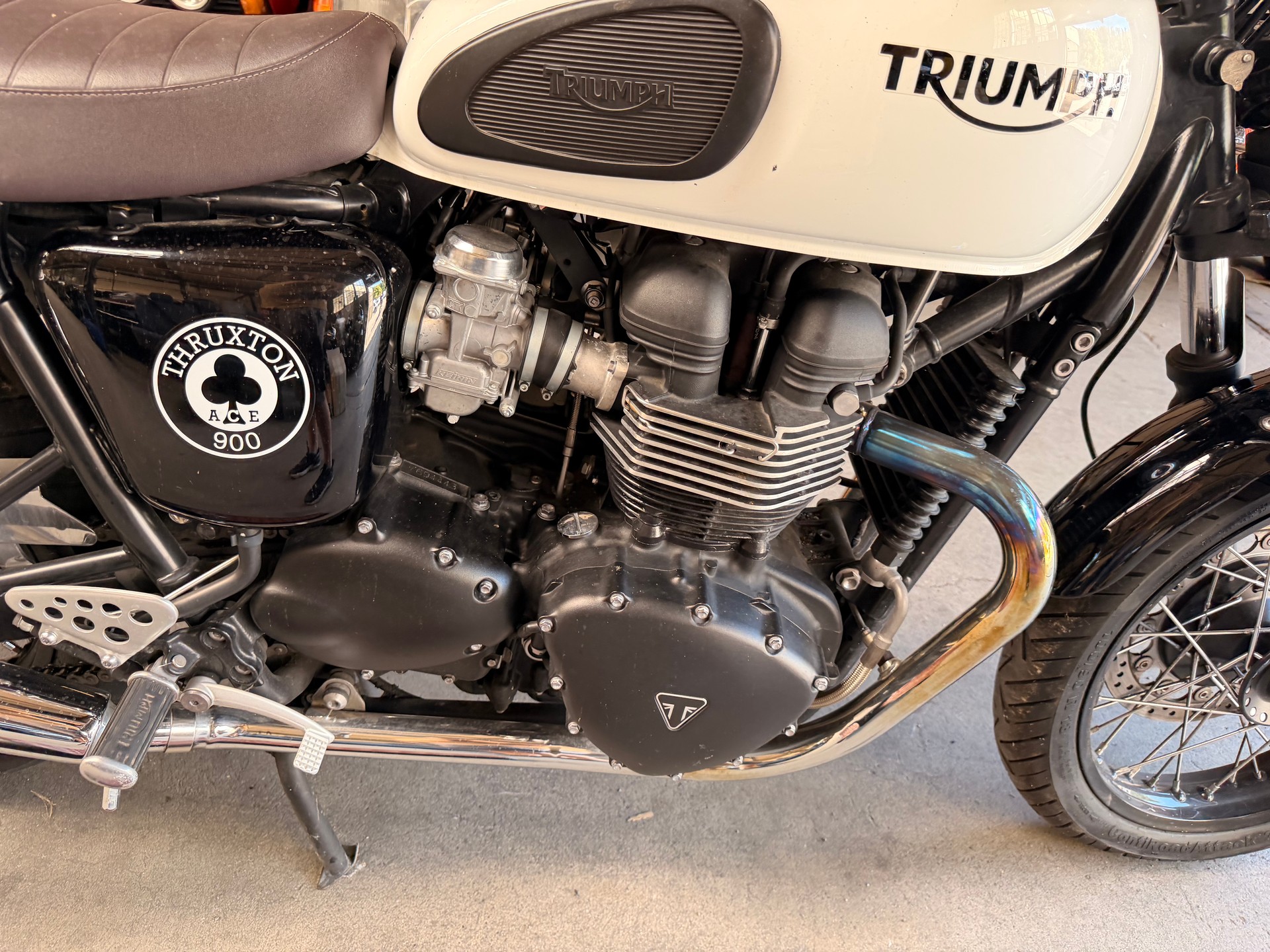 TRIUMPH Thruxton 900 i ACE (25kW)-image-3