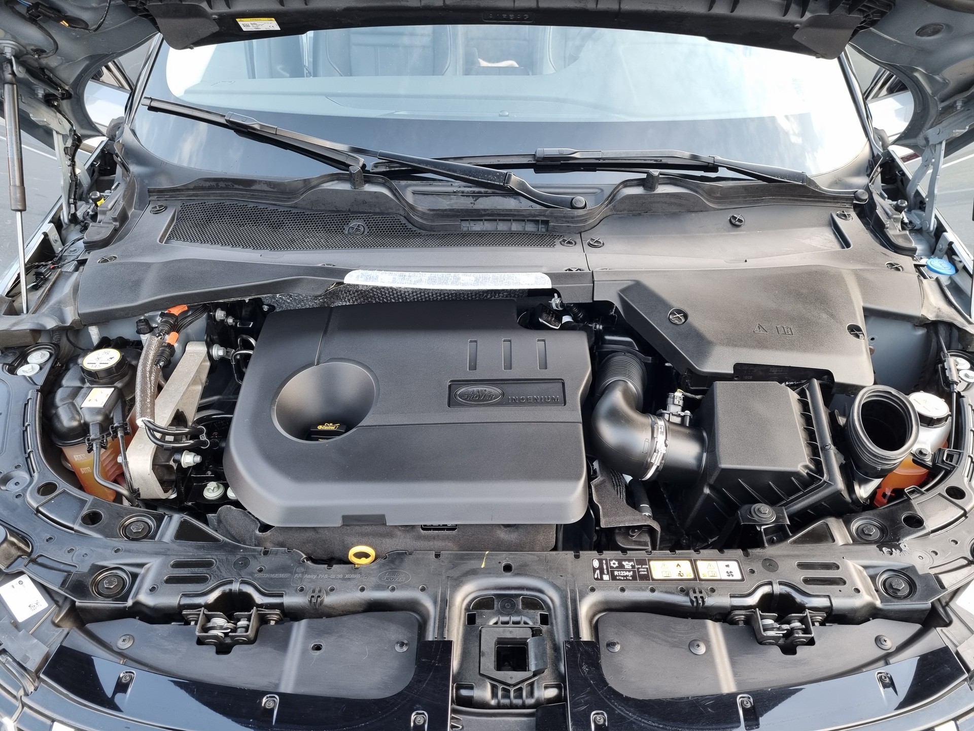 LAND ROVER Range Rover Evoque P 300e SE AT8-image-14