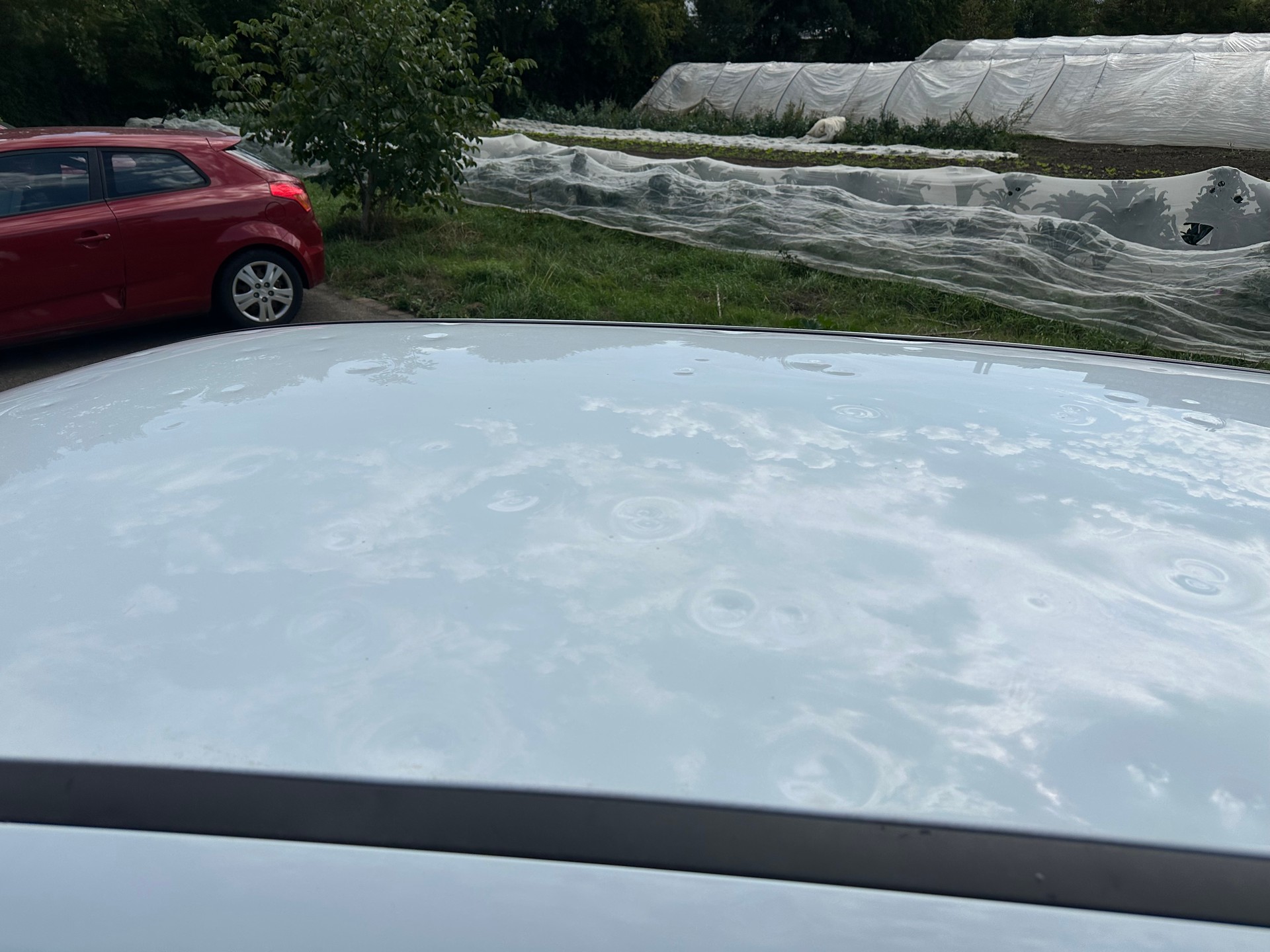 FORD Focus 1.5 TDCi ECOnetic Trend-image-8