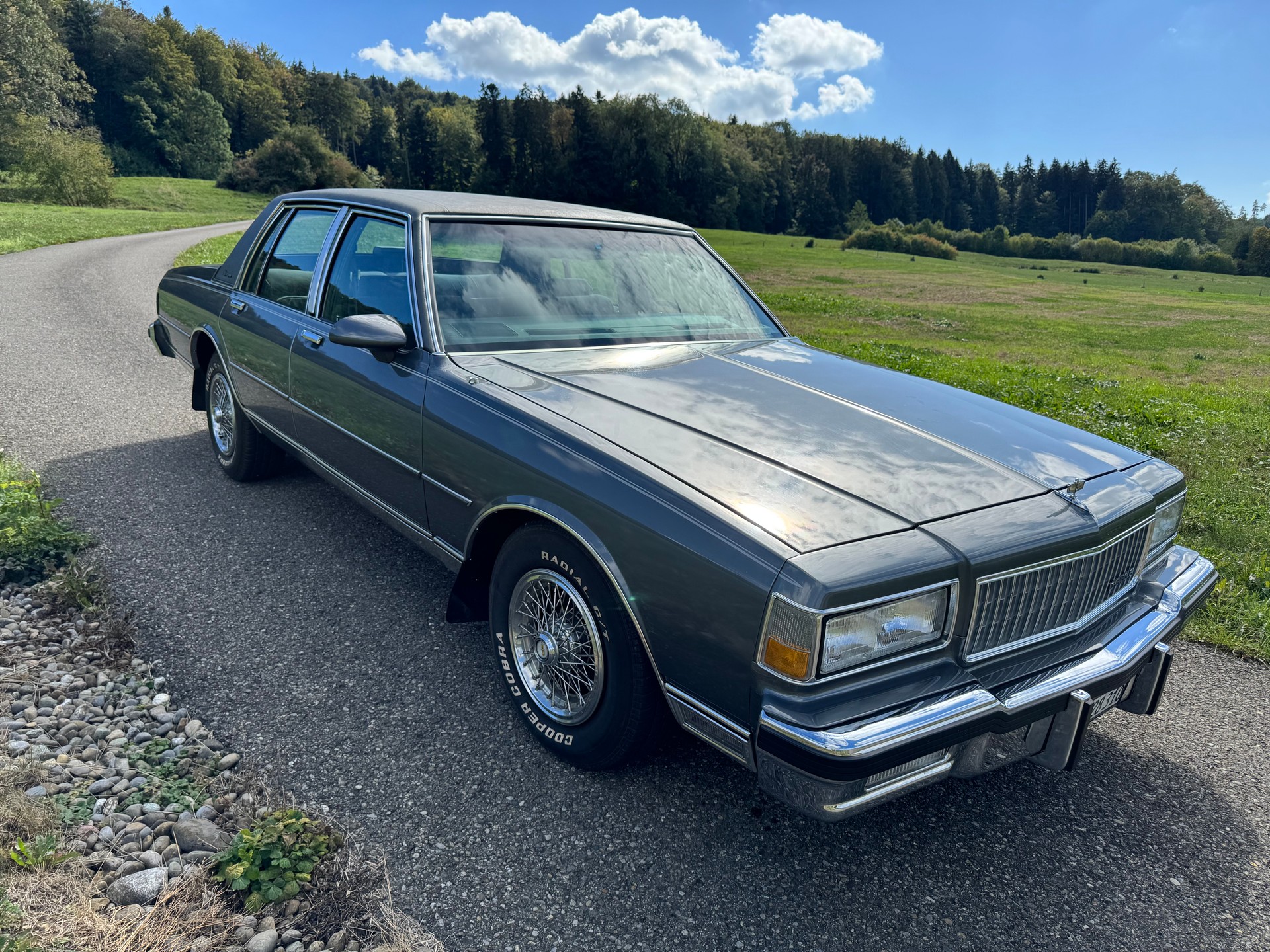 CHEVROLET 5.0 V8 Brougham Sedan-image-1