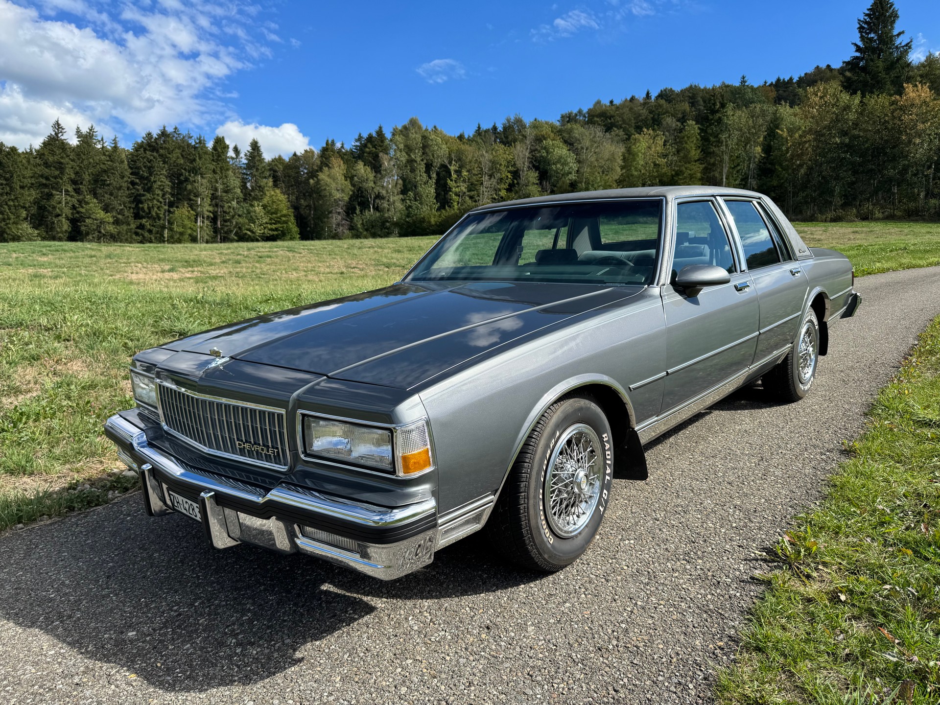 CHEVROLET 5.0 V8 Brougham Sedan-image-0