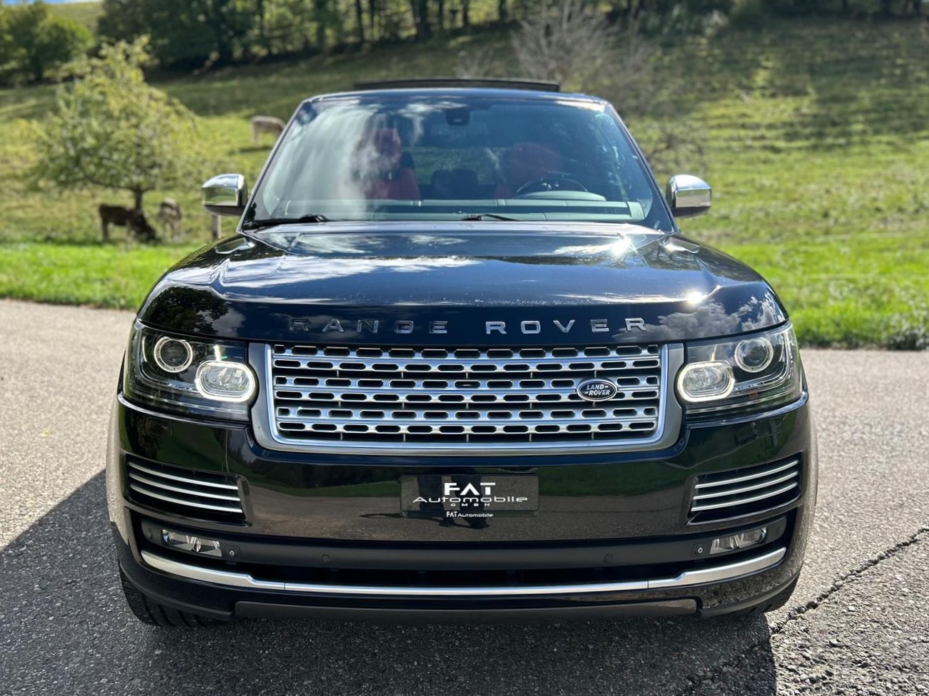 LAND ROVER Range Rover 5.0 V8 SC Autobiography Automatic-image-7