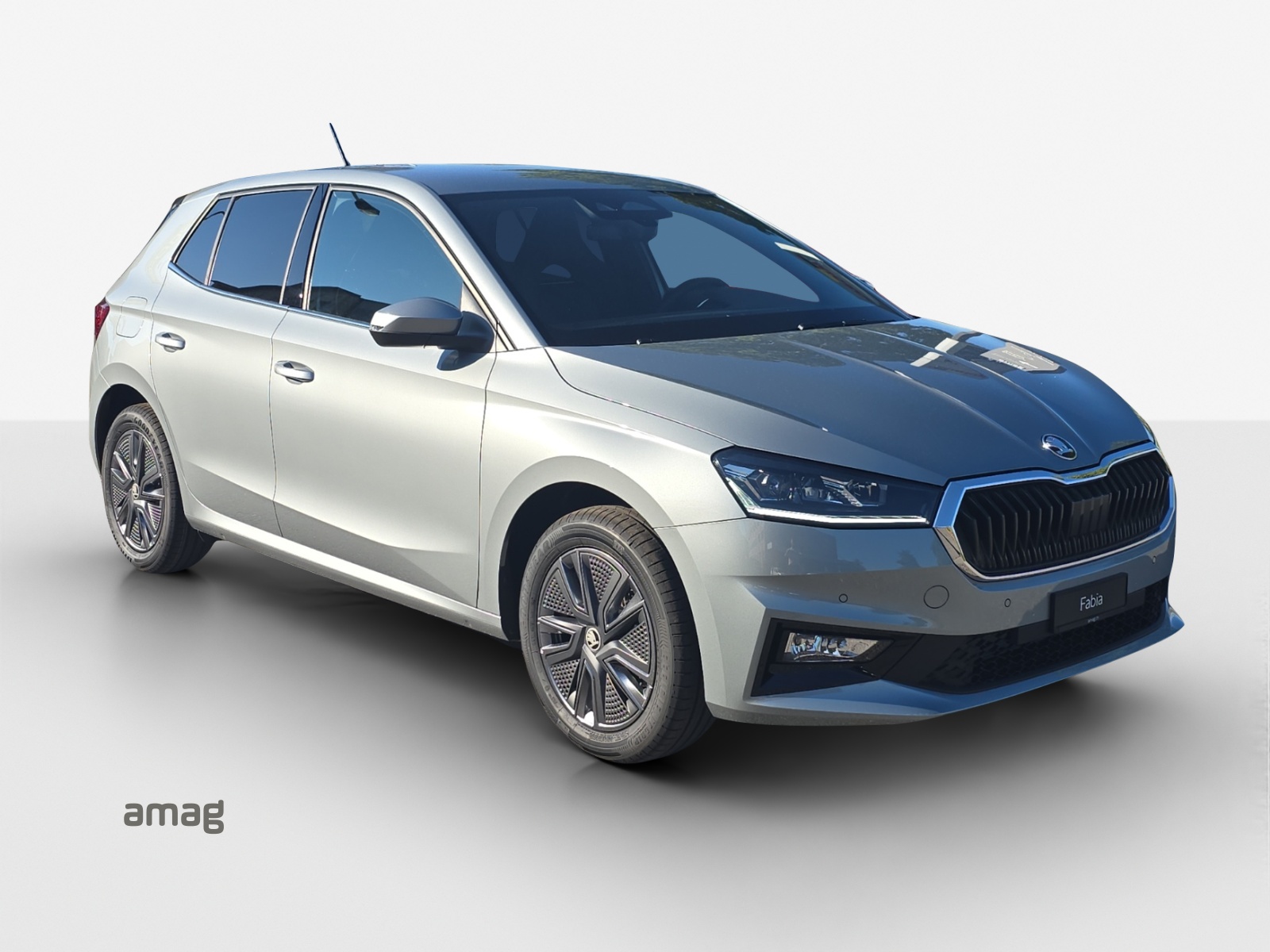 SKODA Fabia 1.5 TSI Dynamic DSG-image-5