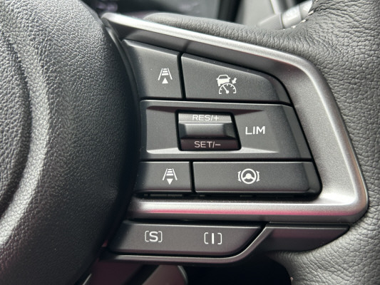 SUBARU Crosstrek 2.0 e-Boxer Passion AWD Lineartronic-image-13