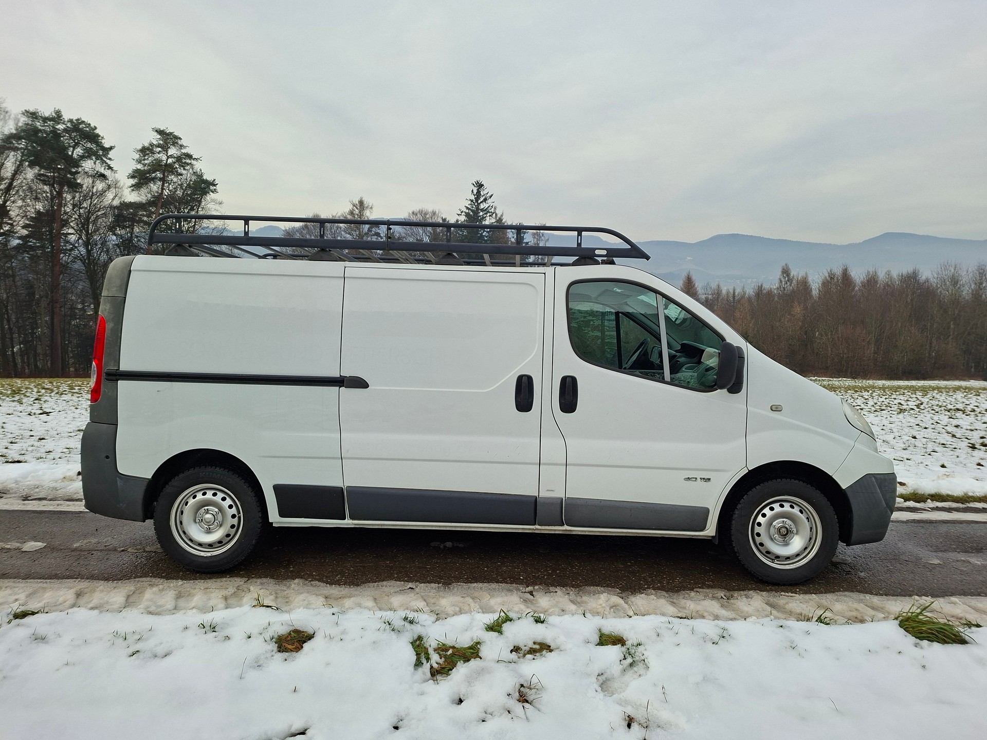 RENAULT Trafic 2.0 dCi 115 2.9t L2H1-image-4