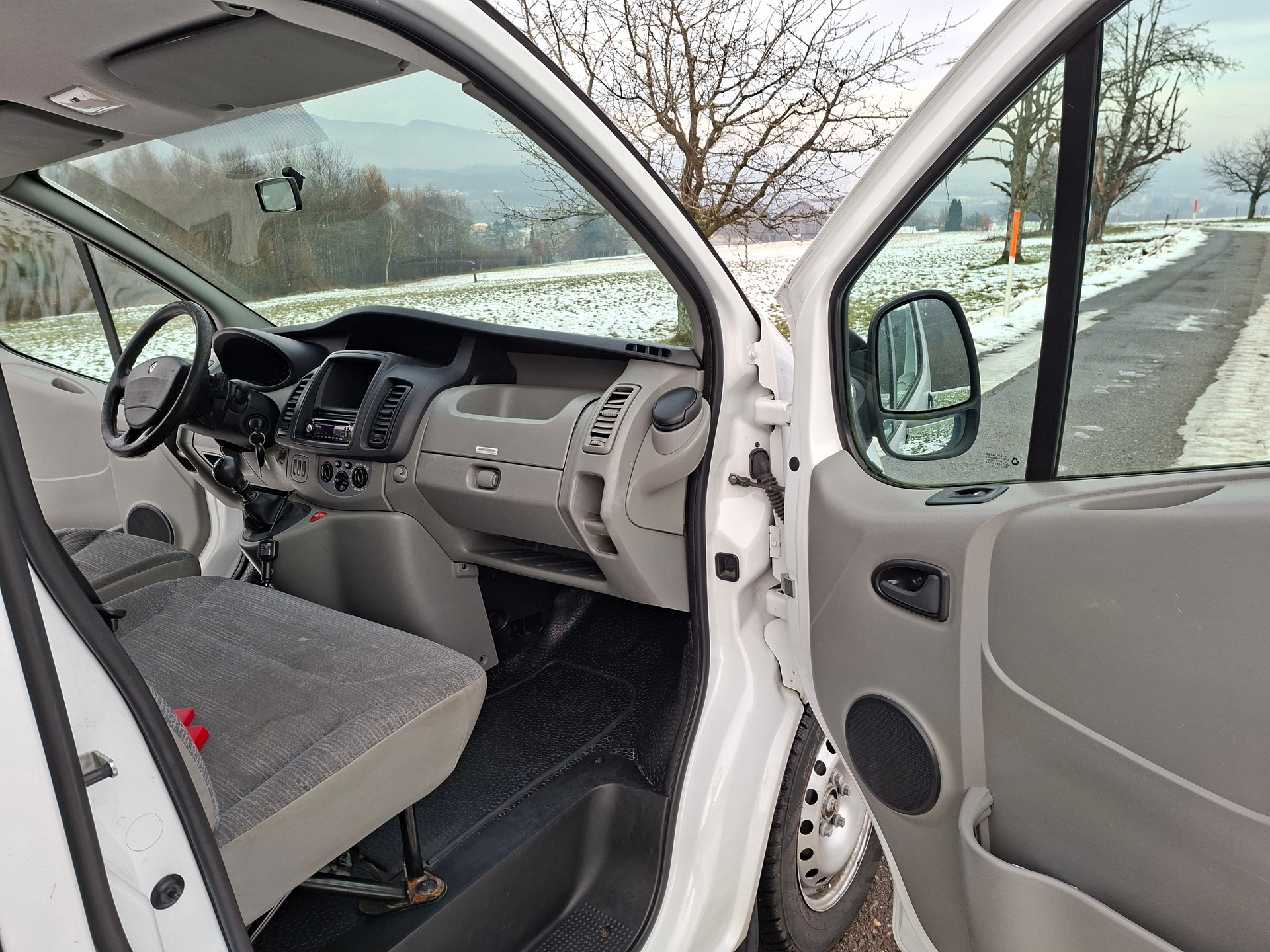 RENAULT Trafic 2.0 dCi 115 2.9t L2H1-image-11