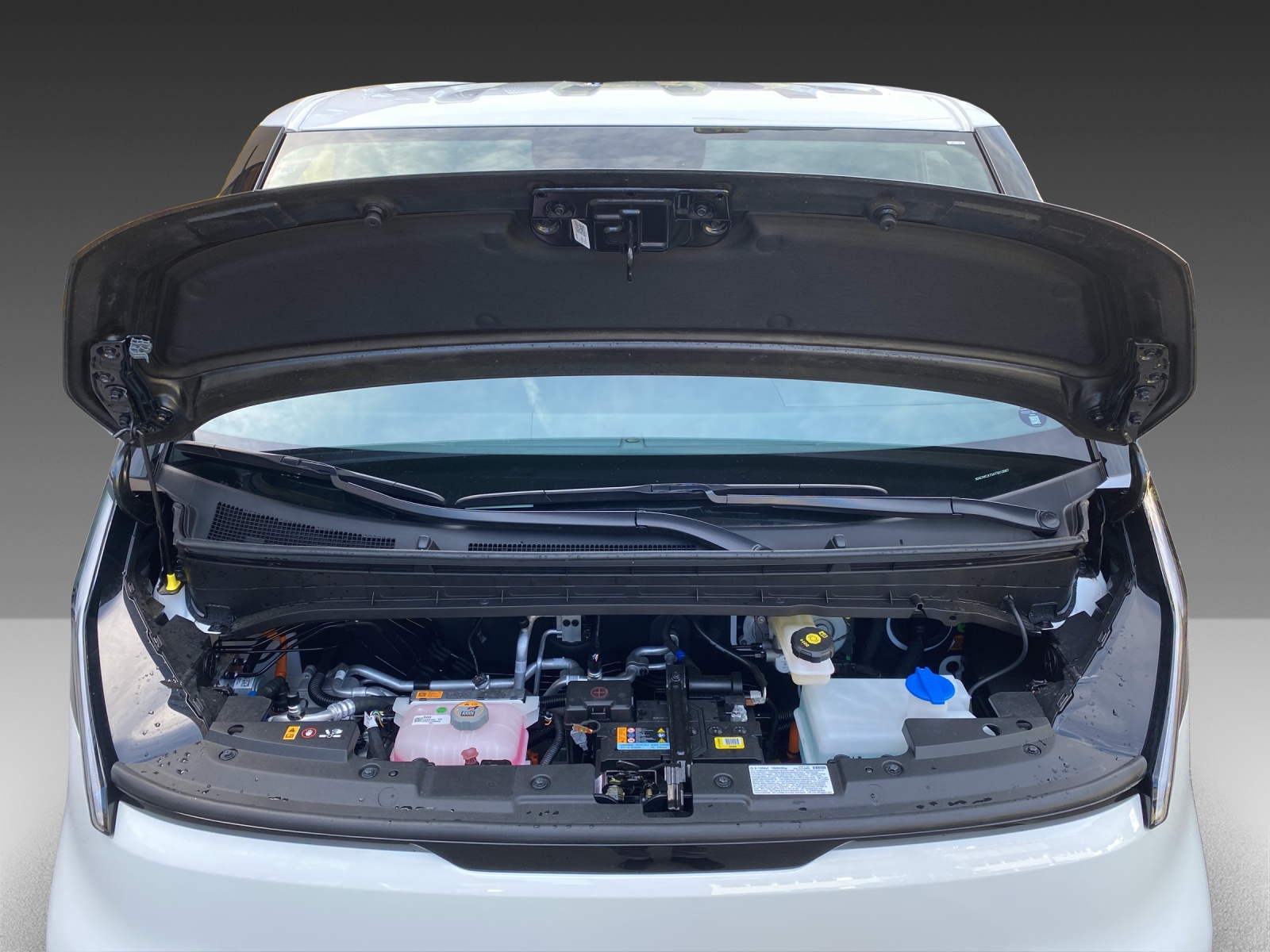 KIA PV5 Cargo 51.5 kWh-image-19