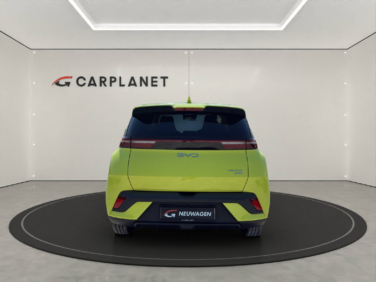 BYD Dolphin Surf Comfort-image-4