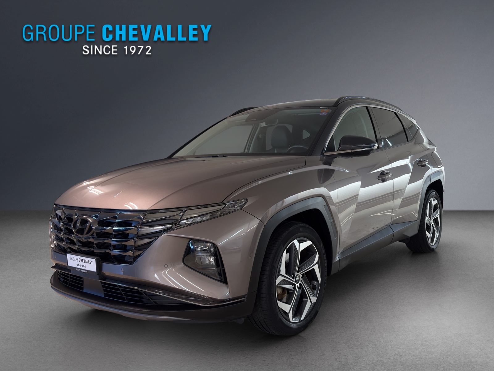 Photo HYUNDAI TUCSON Tucson 1.6 HEV Vertex 4WD
